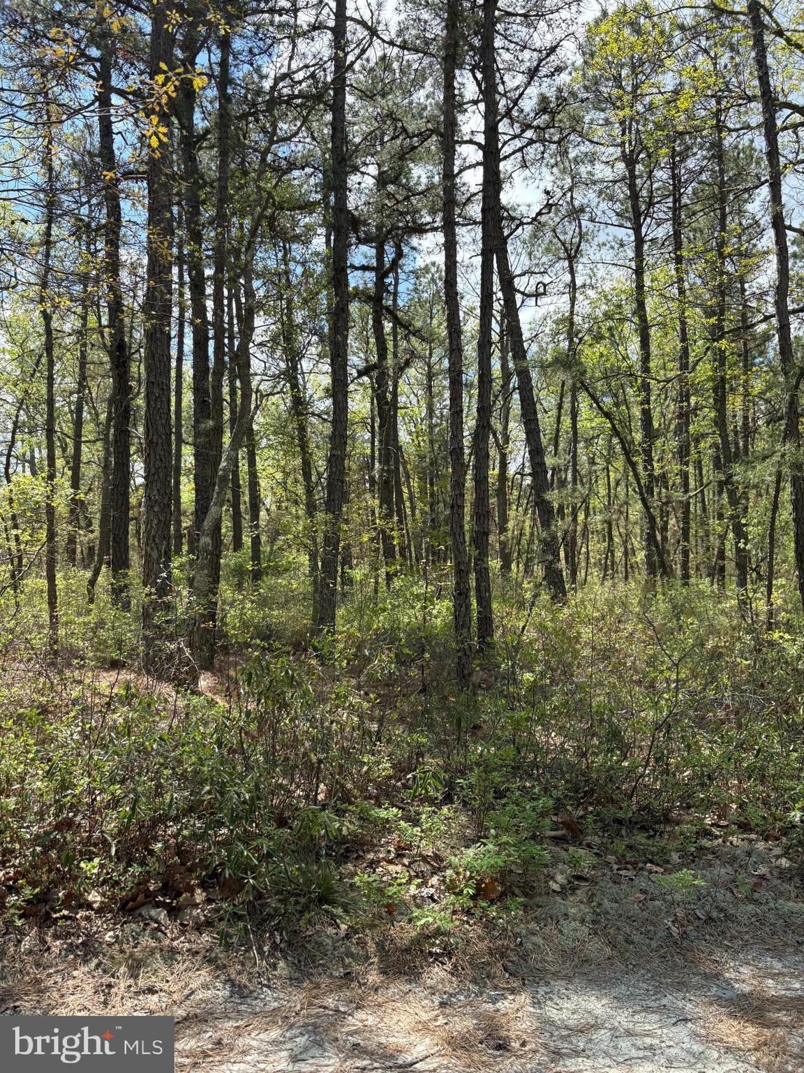 JACKSON ROAD