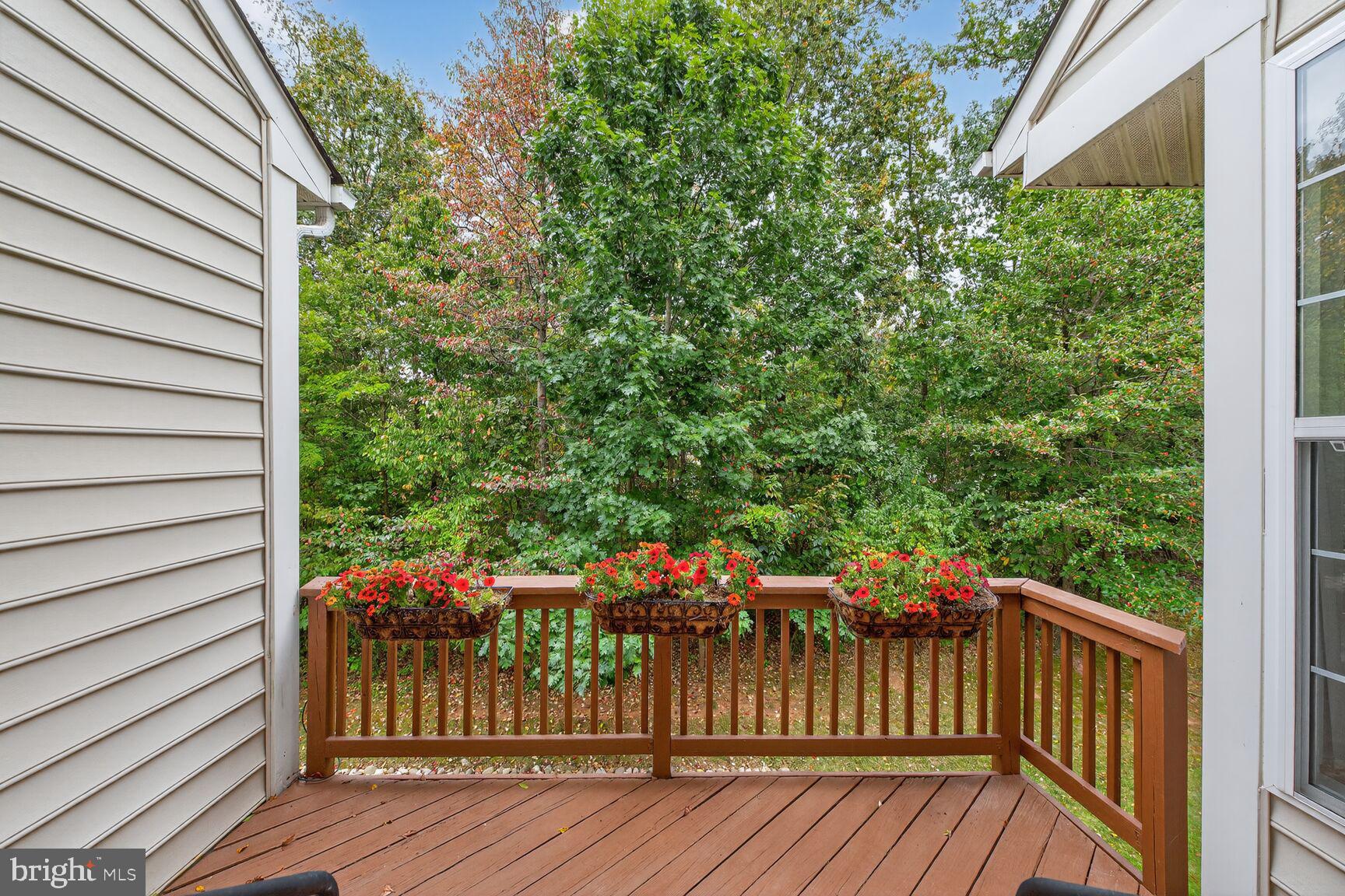 CENTRAL PARKE AT LOWES ISLAND - Residential