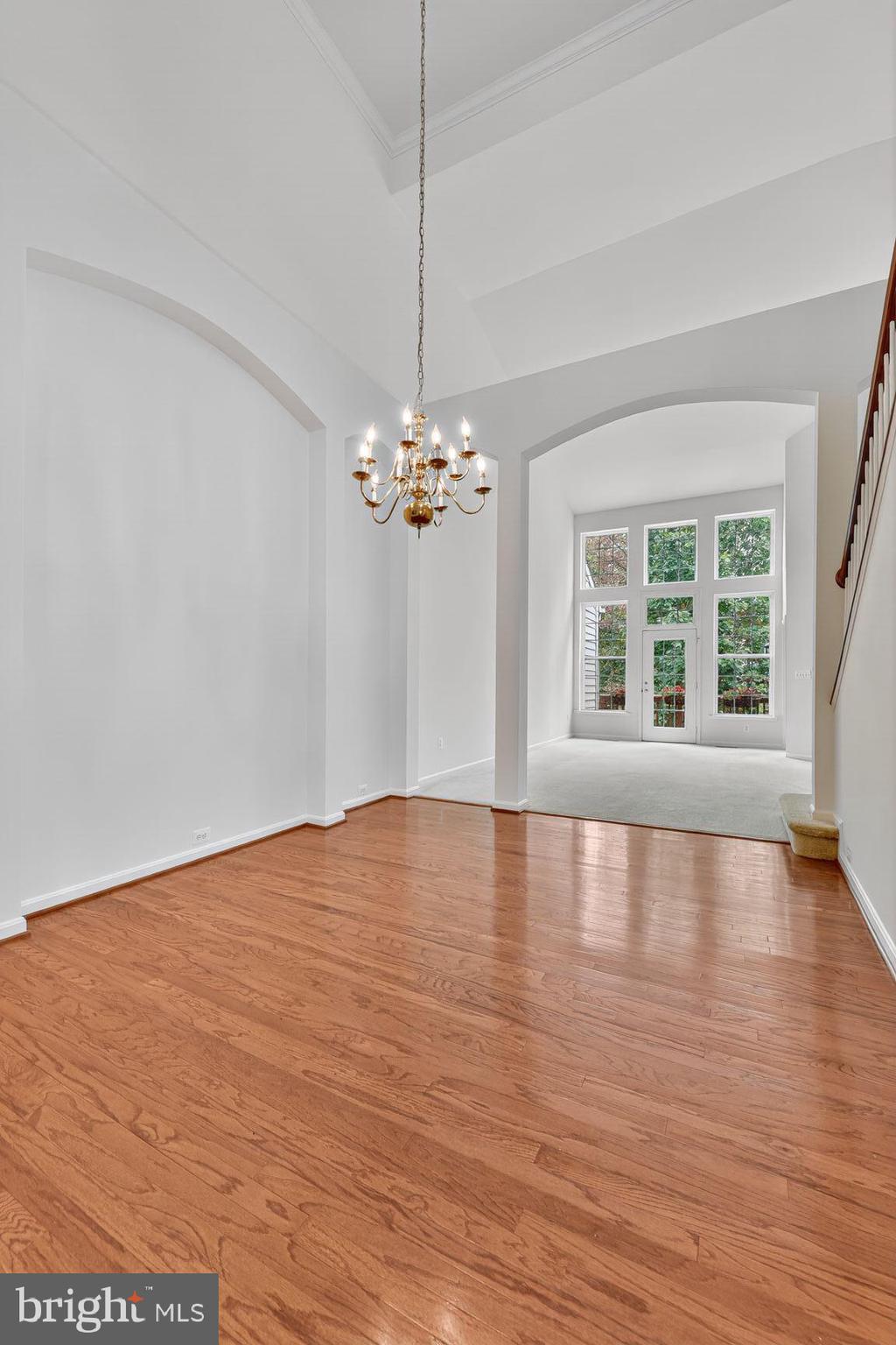 CENTRAL PARKE AT LOWES ISLAND - Residential