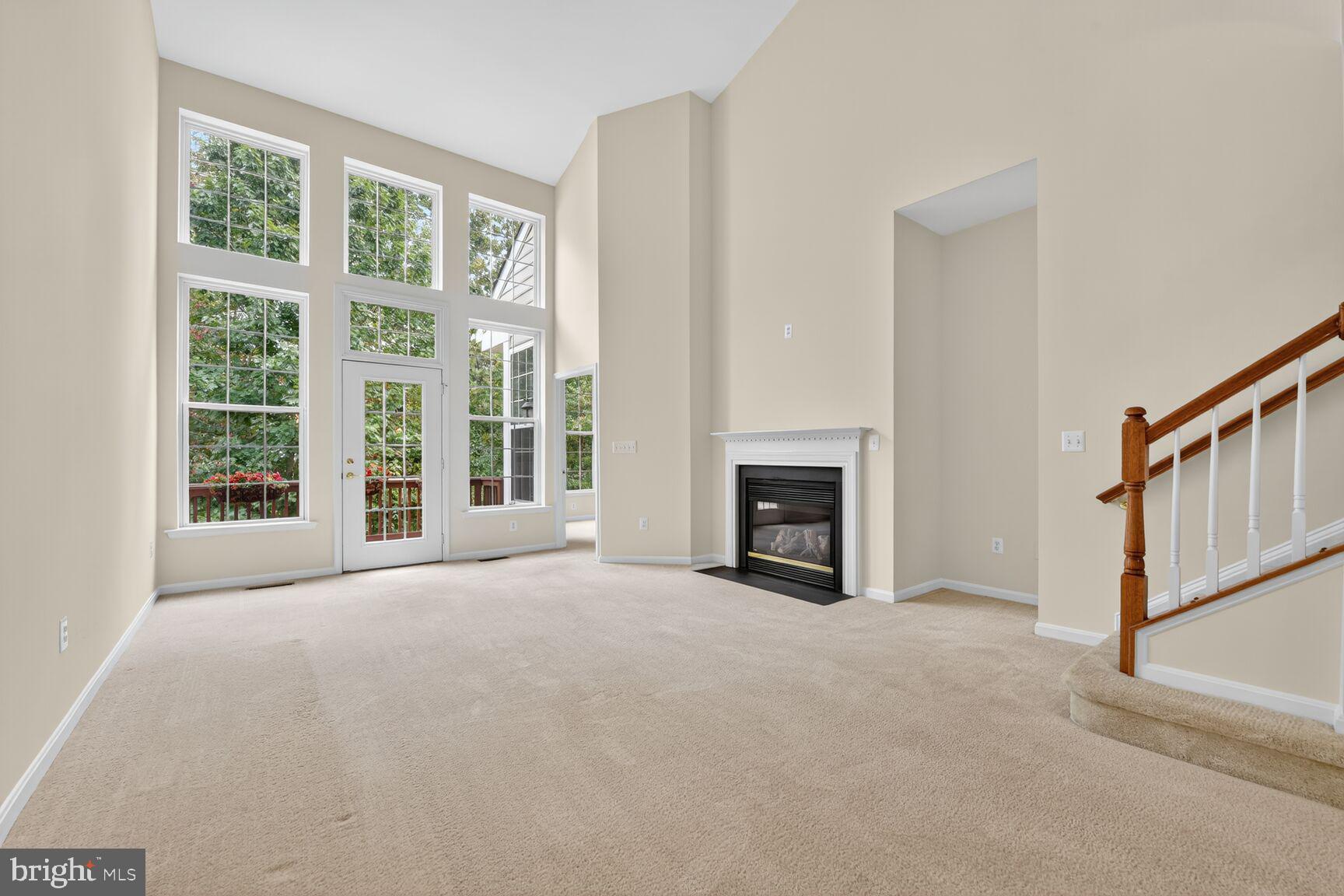 CENTRAL PARKE AT LOWES ISLAND - Residential