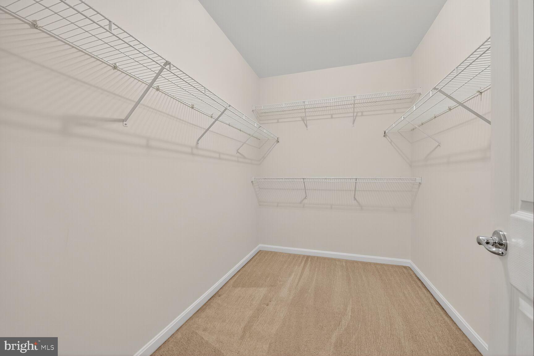 CENTRAL PARKE AT LOWES ISLAND - Residential