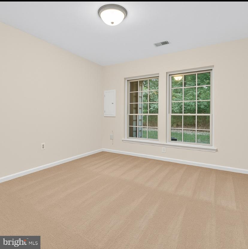 CENTRAL PARKE AT LOWES ISLAND - Residential