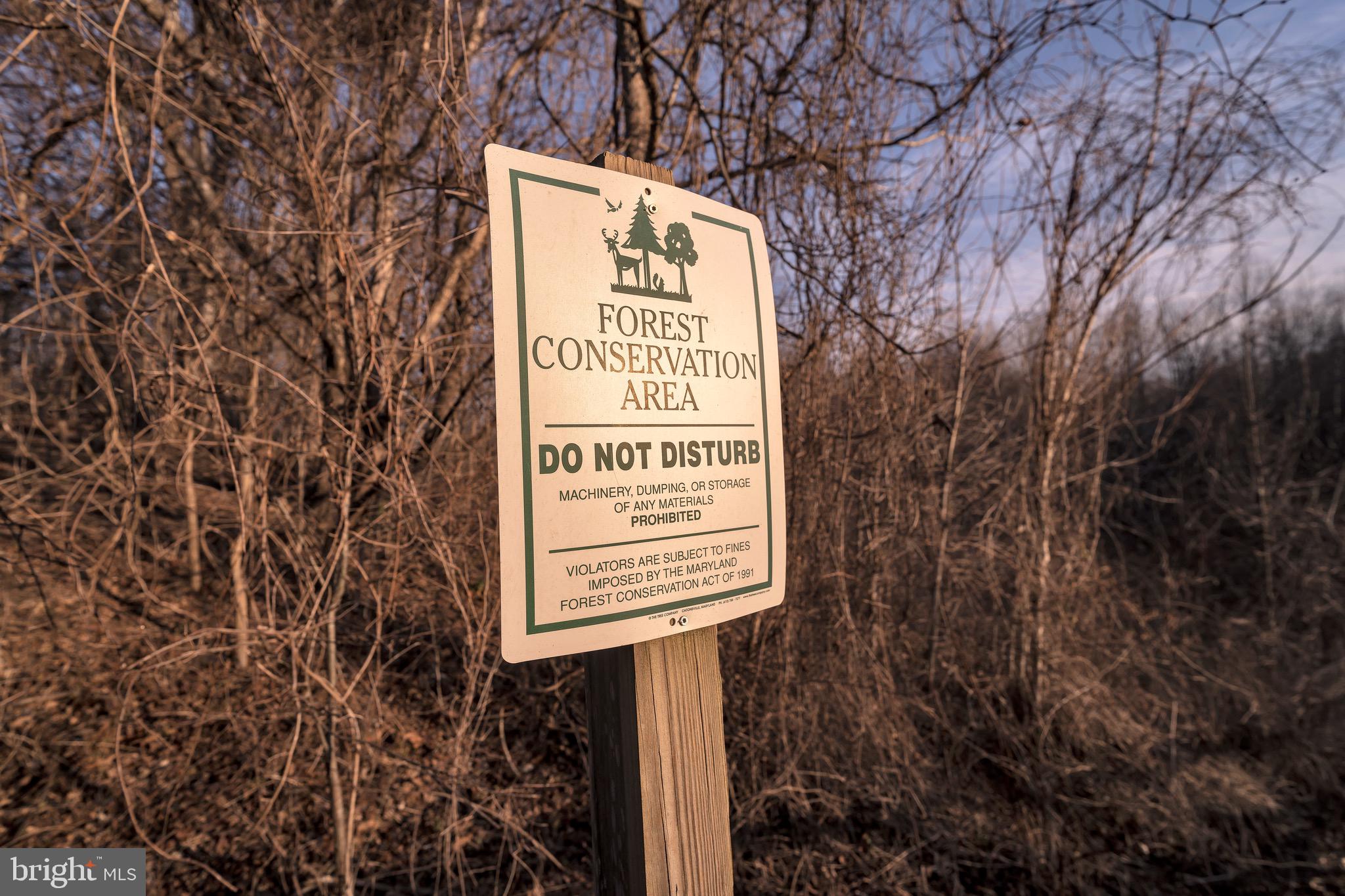 BEACON HILL - Residential