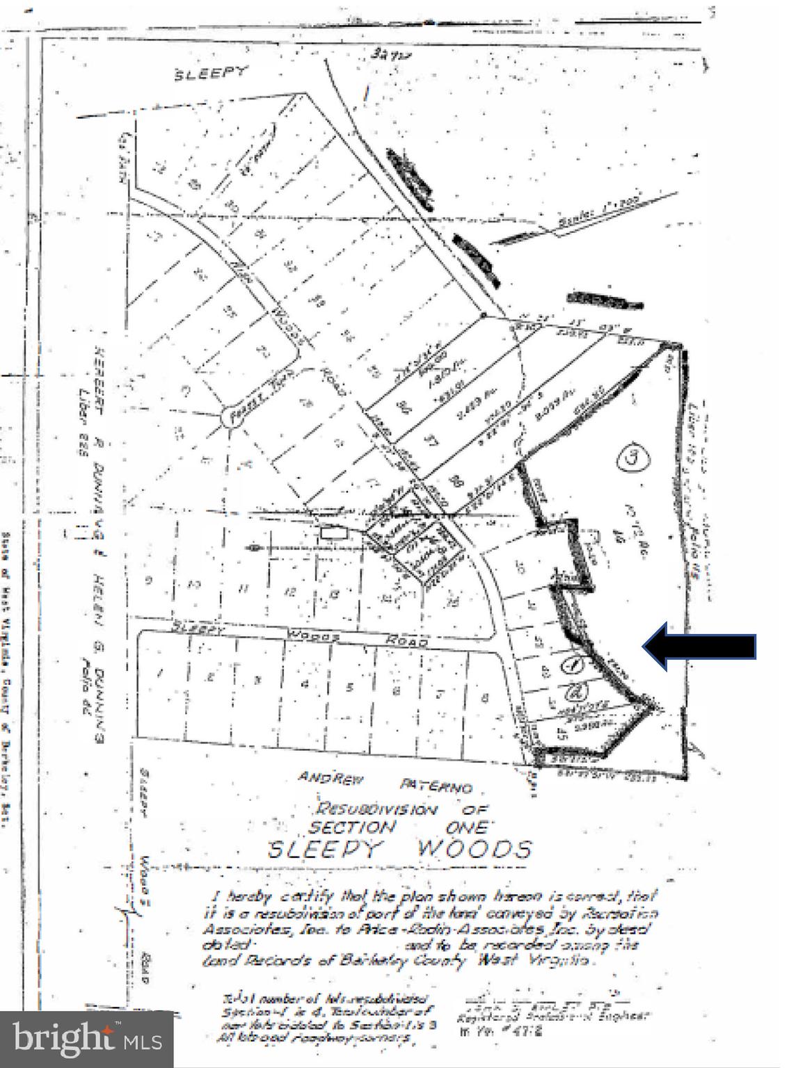 Main image without alt text