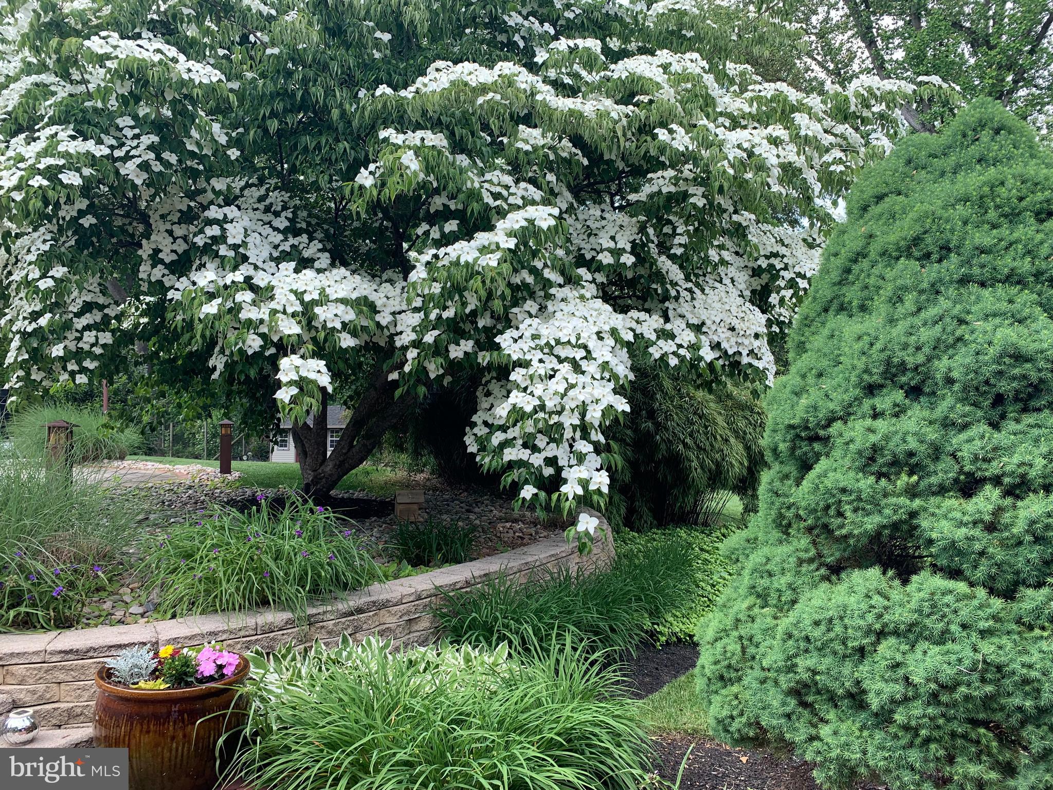 NEWTOWN SQ - Residential