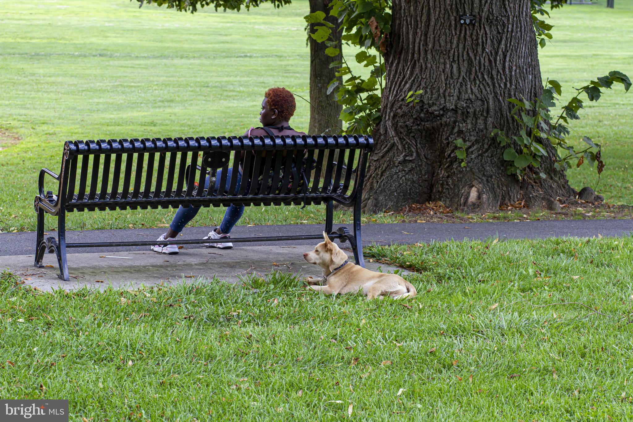 FREDERICK HISTORIC DISTRICT - Residential