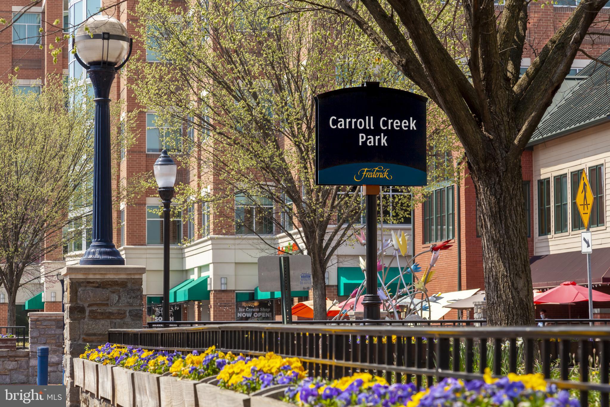 FREDERICK HISTORIC DISTRICT - Residential