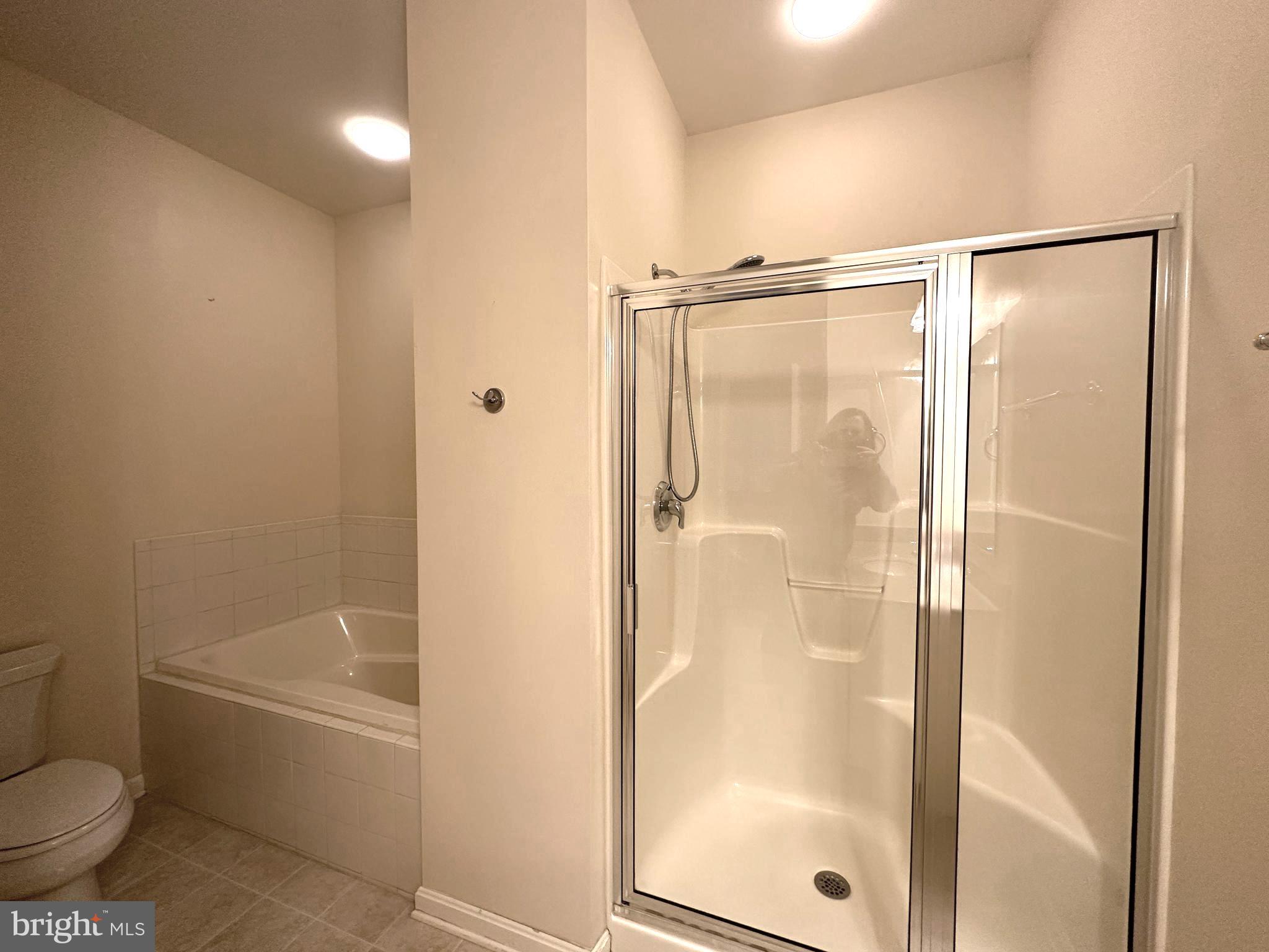 GREENWICH PARK - Residential Lease