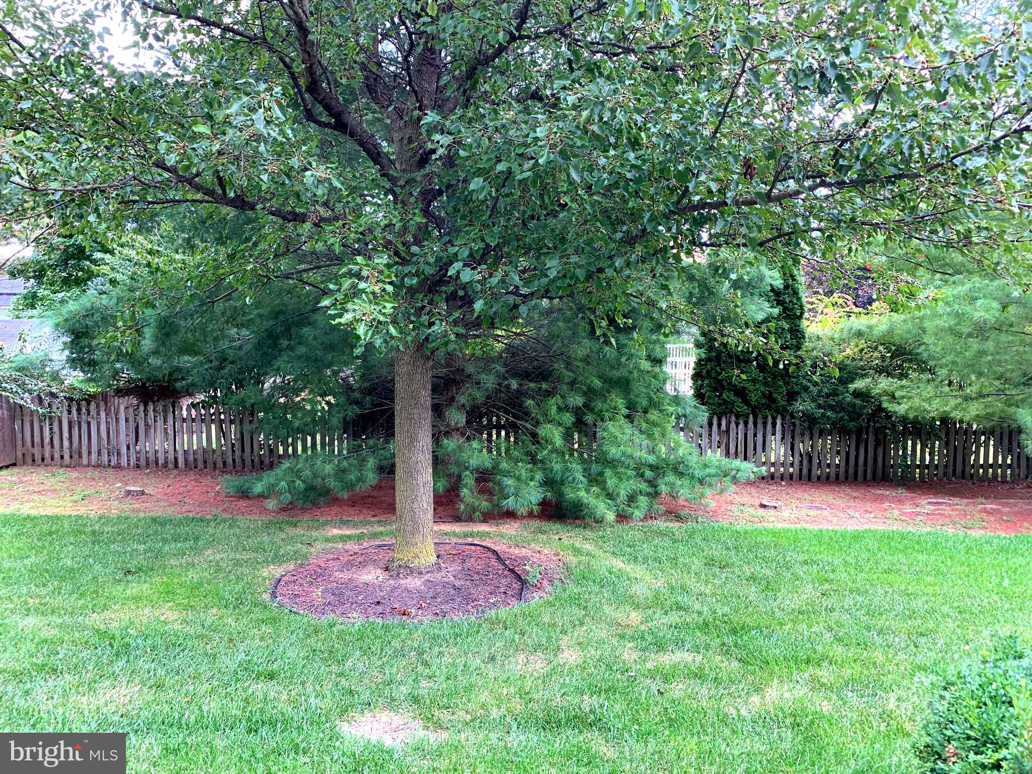 GREENWICH PARK - Residential Lease