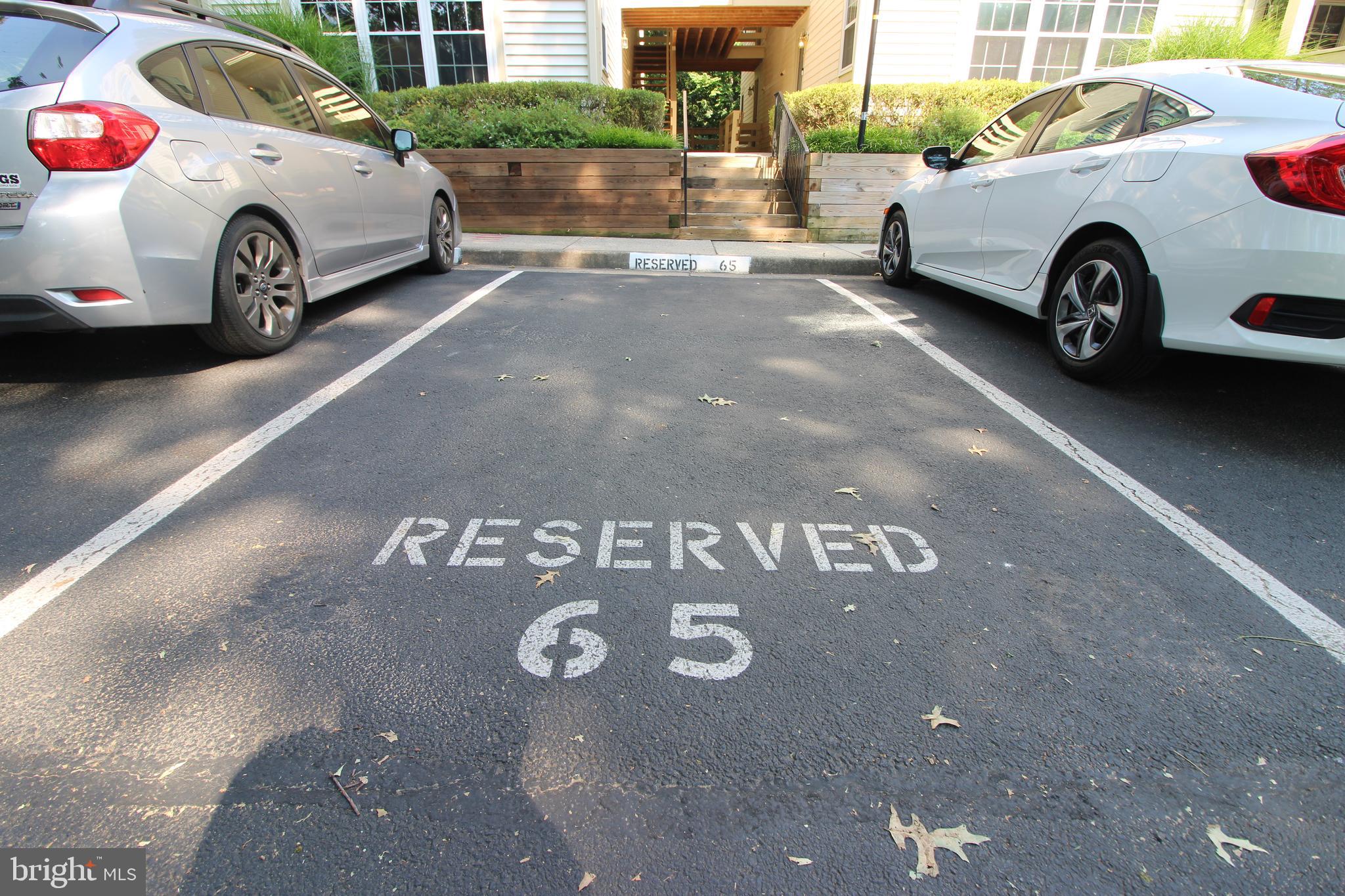 BRISTOL HOUSE - Residential