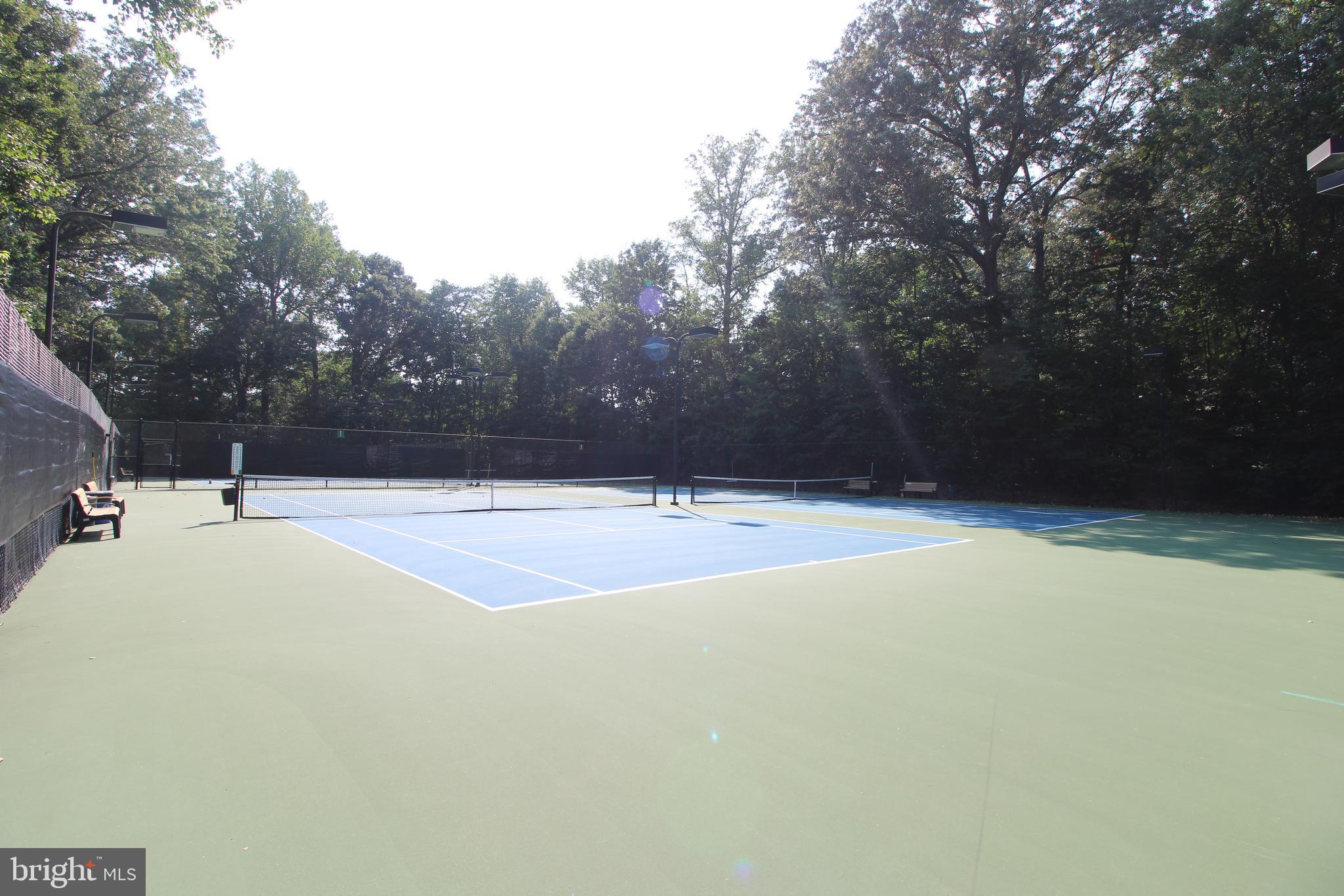 BRISTOL HOUSE - Residential