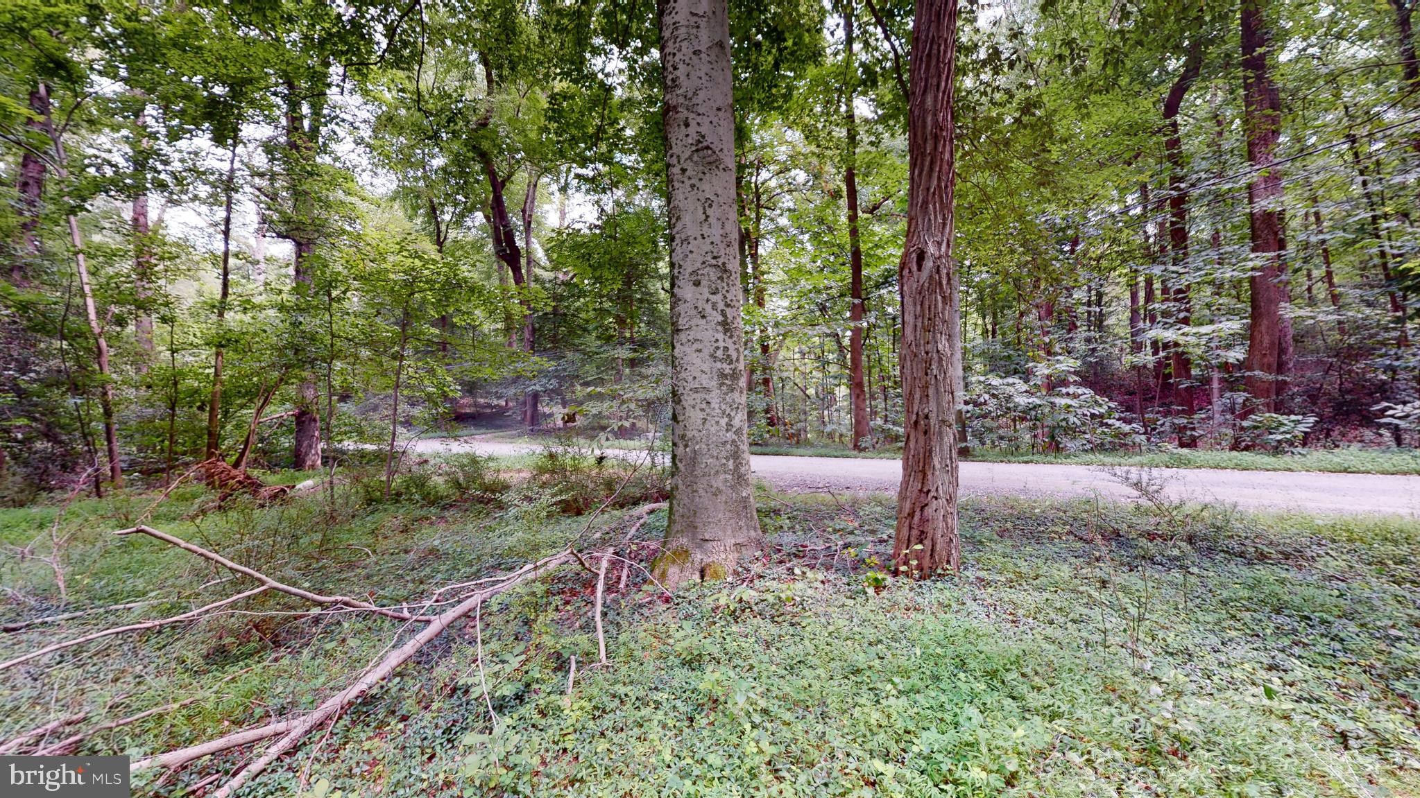 MOYAONE RESERVE - Land