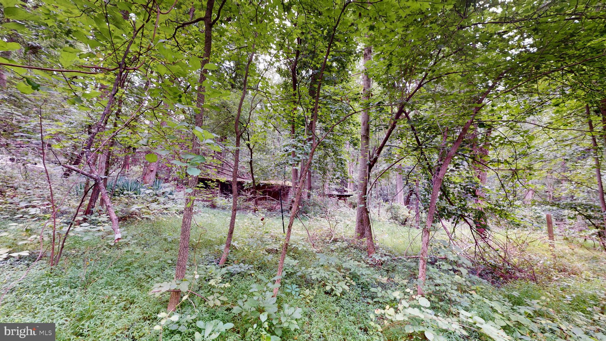 MOYAONE RESERVE - Land