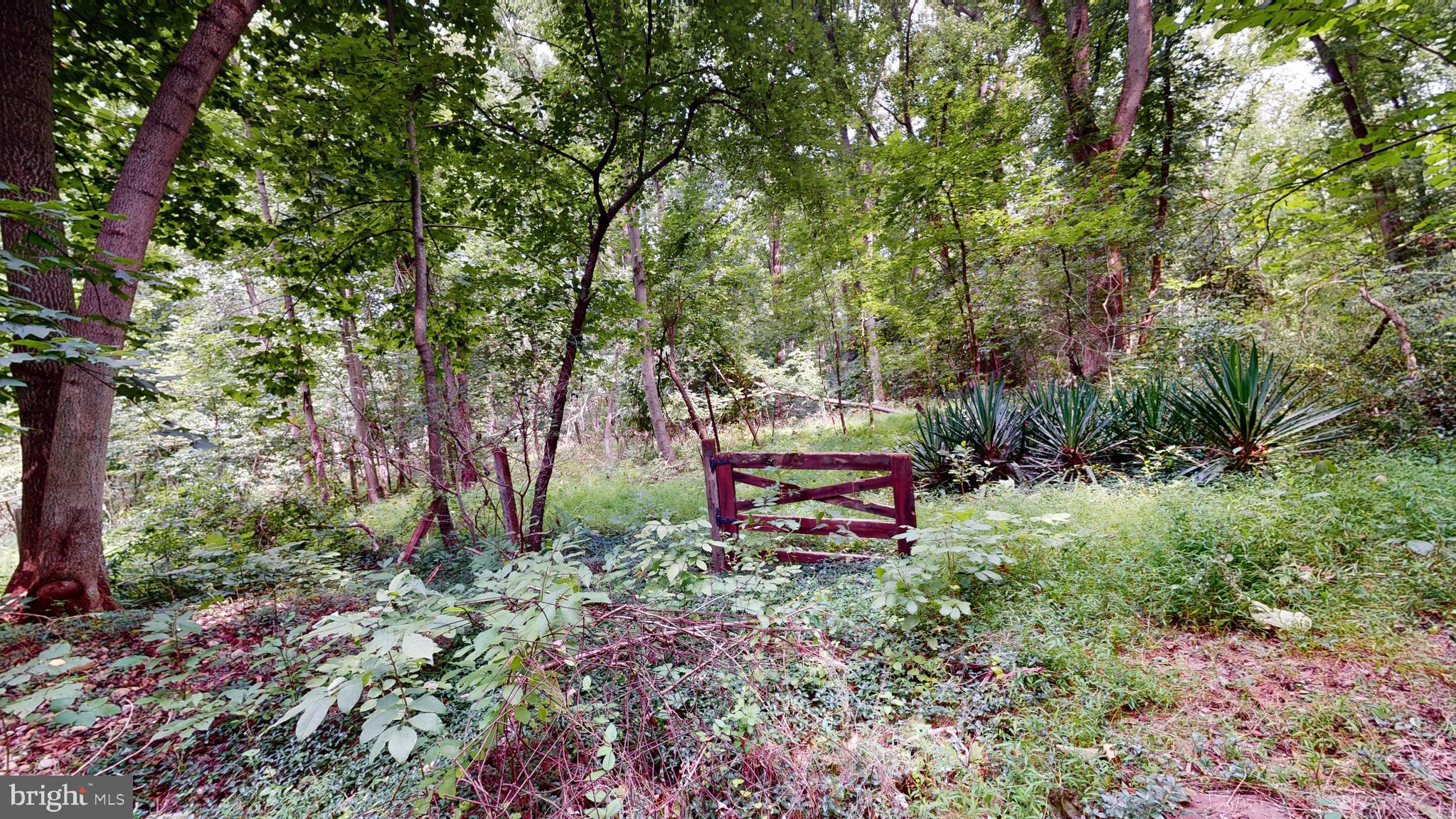 14811 BONDS RETREAT ROAD