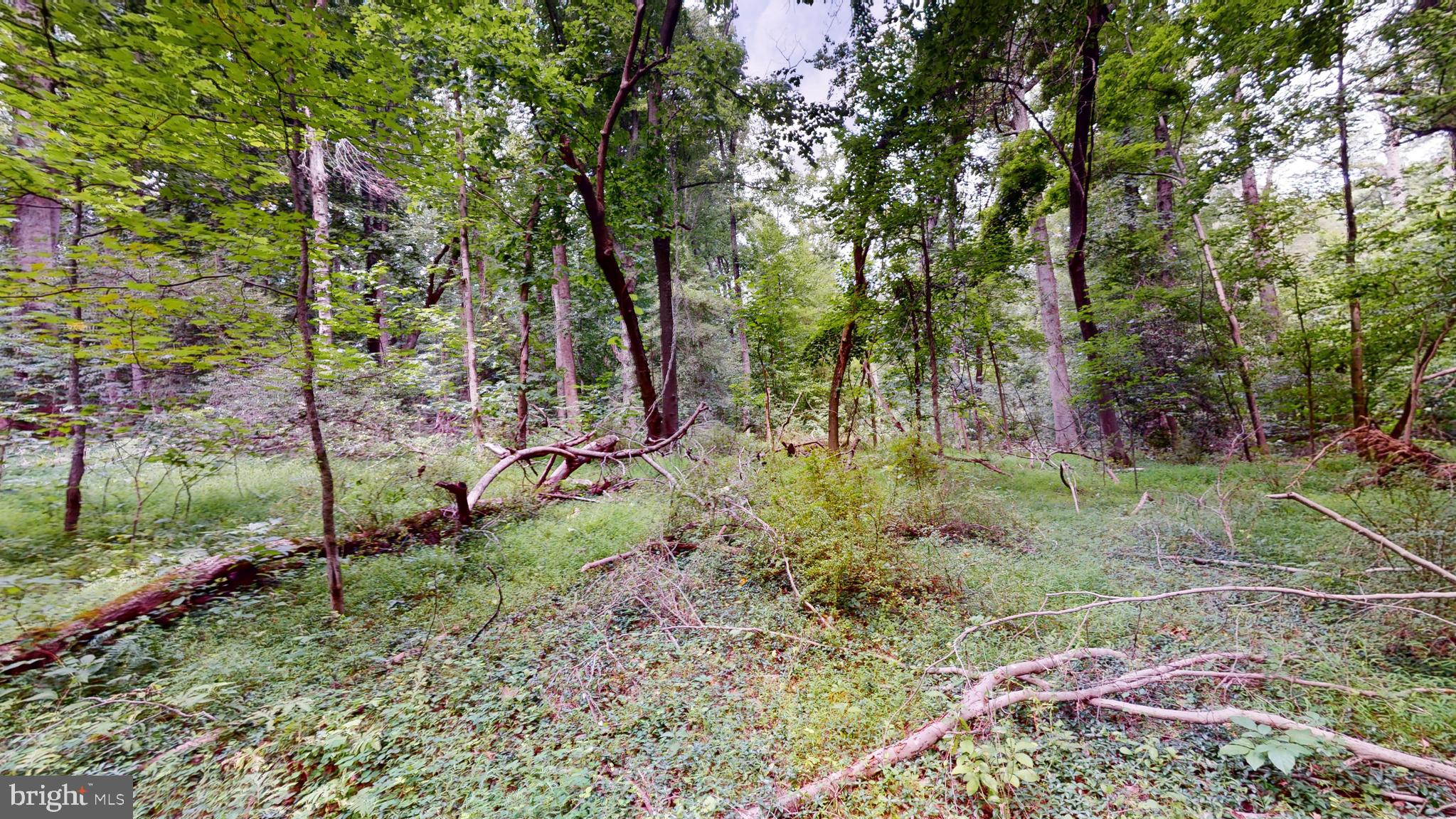 MOYAONE RESERVE - Land