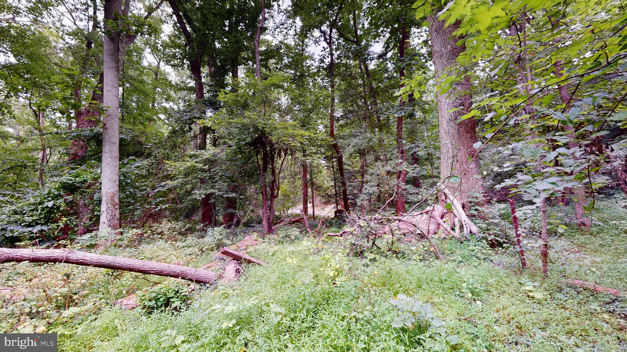 MOYAONE RESERVE - Land