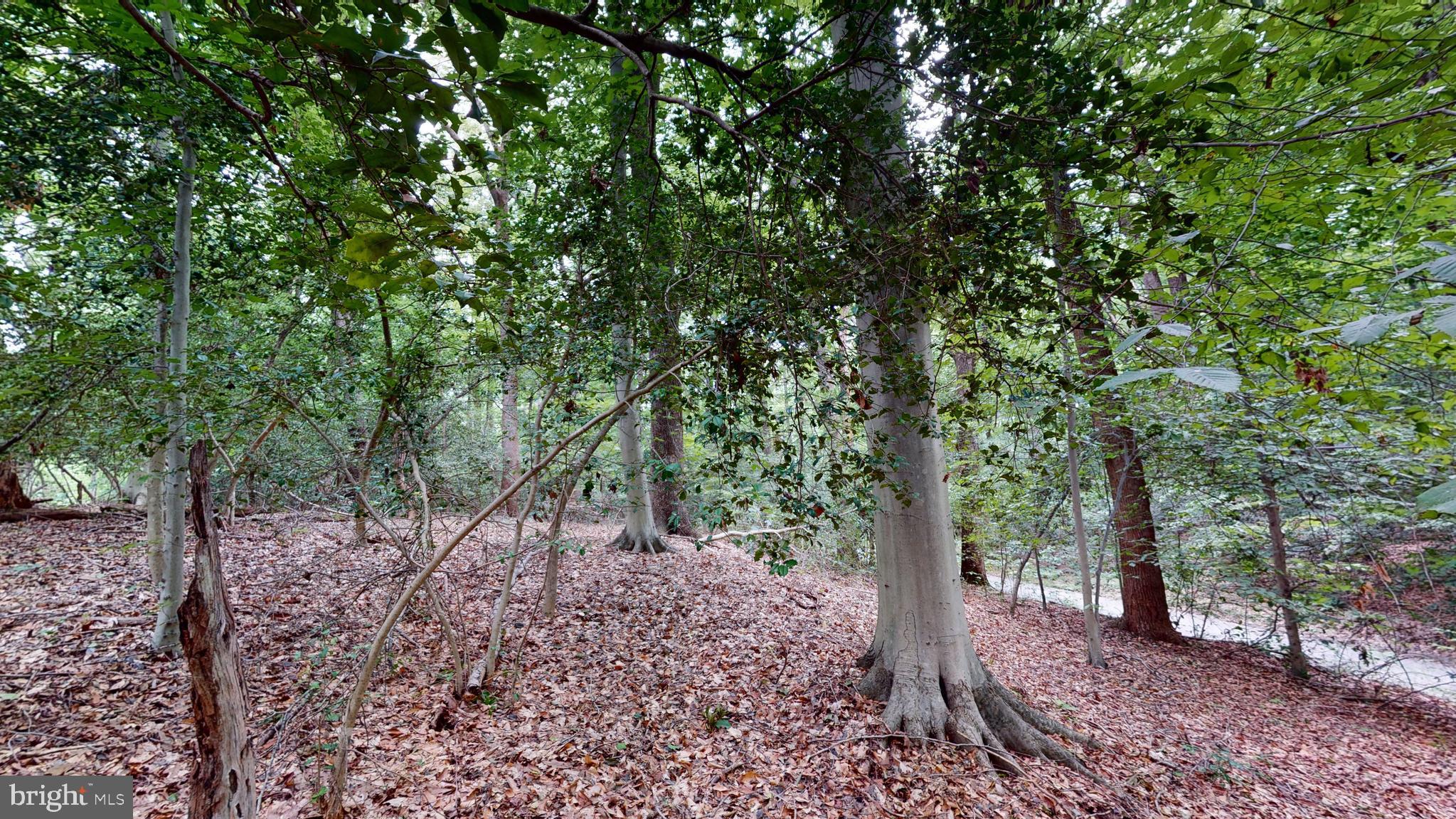 14811 BONDS RETREAT ROAD