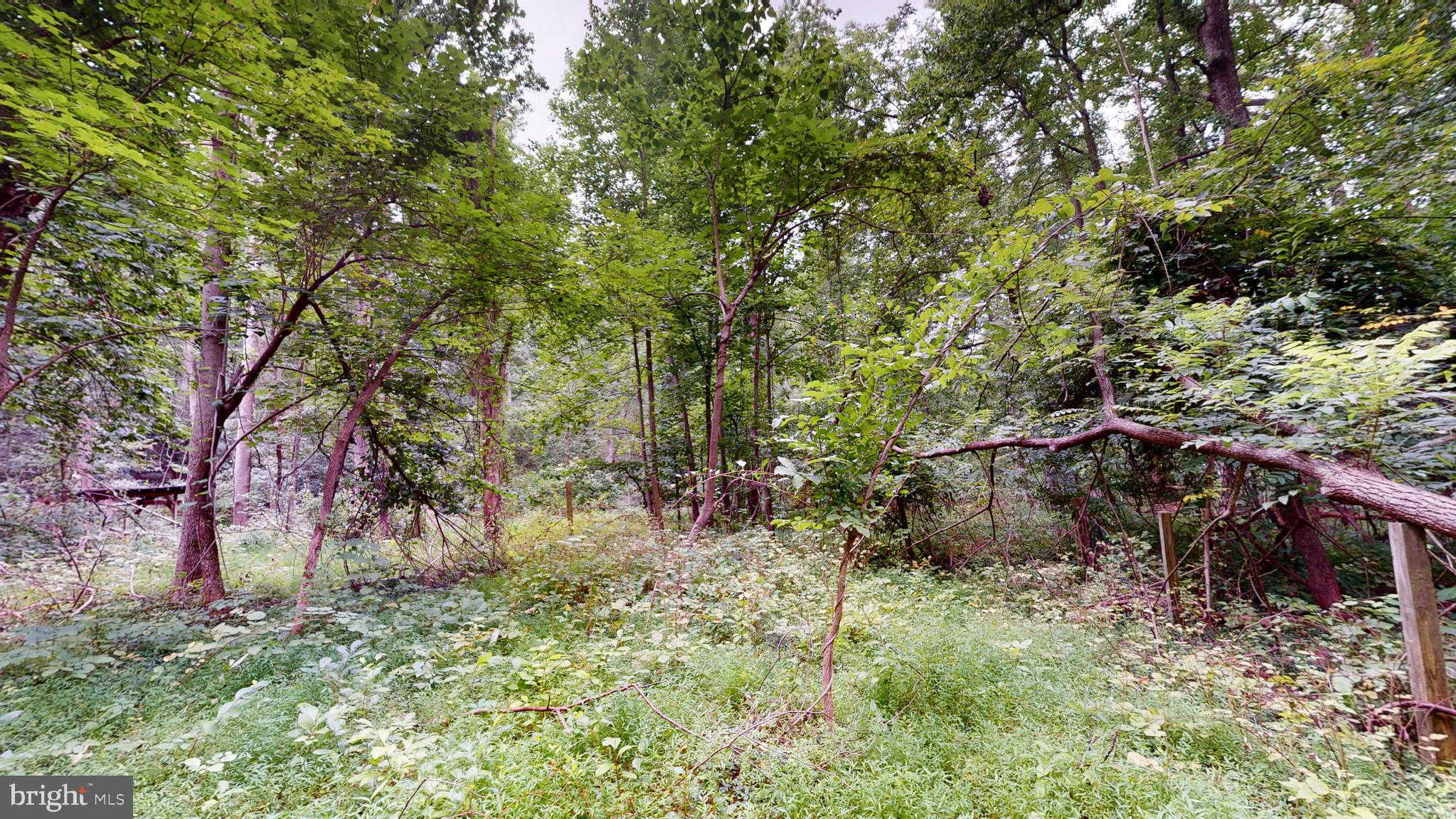 MOYAONE RESERVE - Land