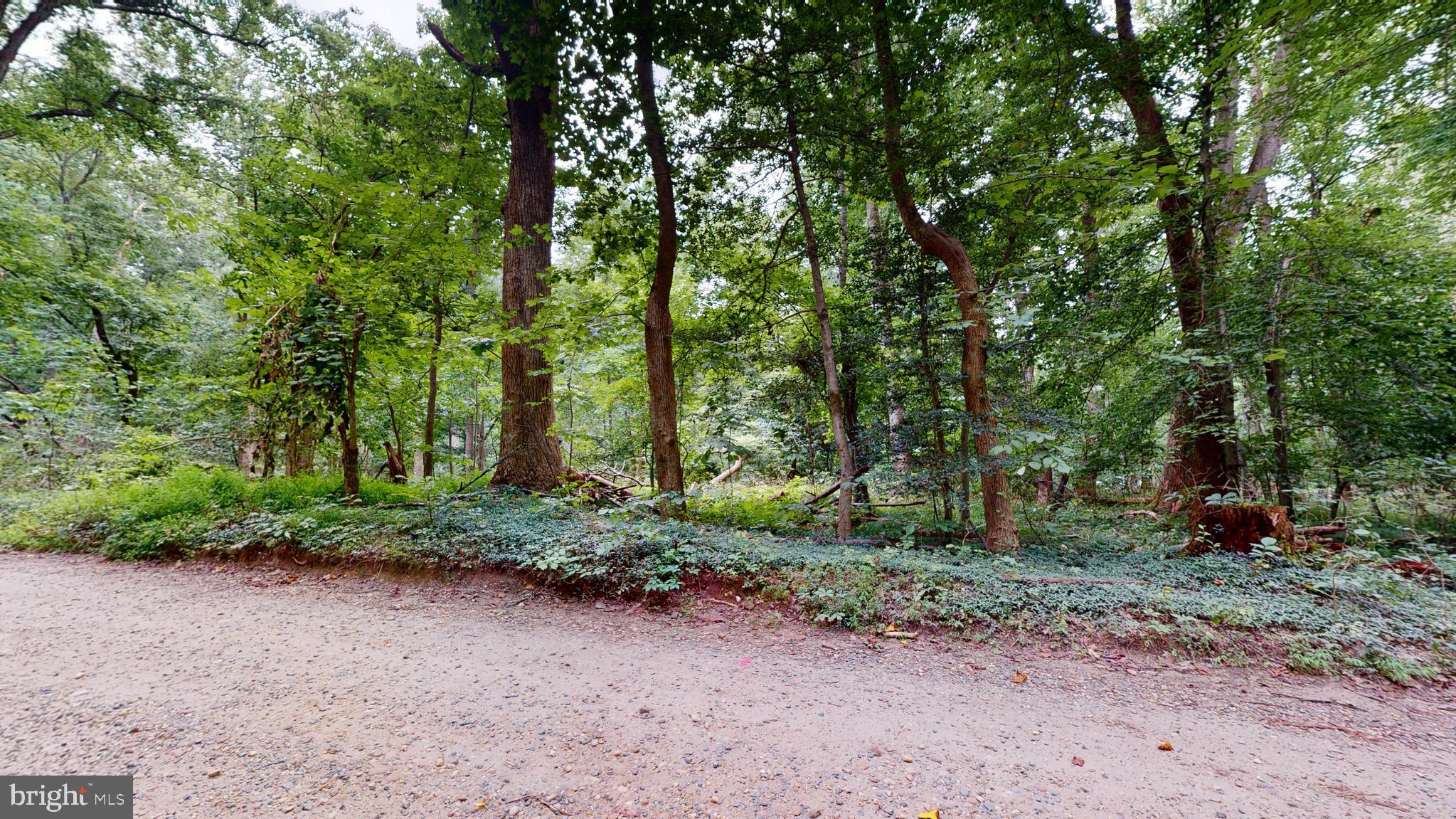 14811 BONDS RETREAT ROAD