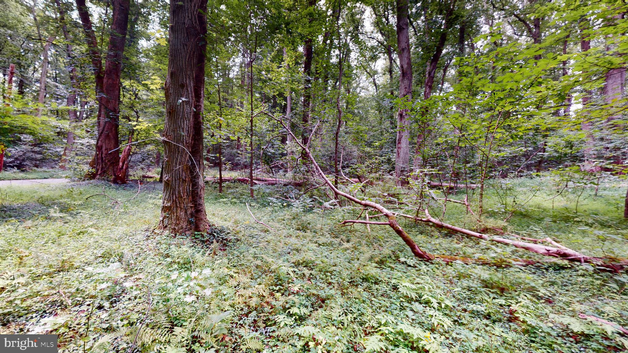 MOYAONE RESERVE - Land