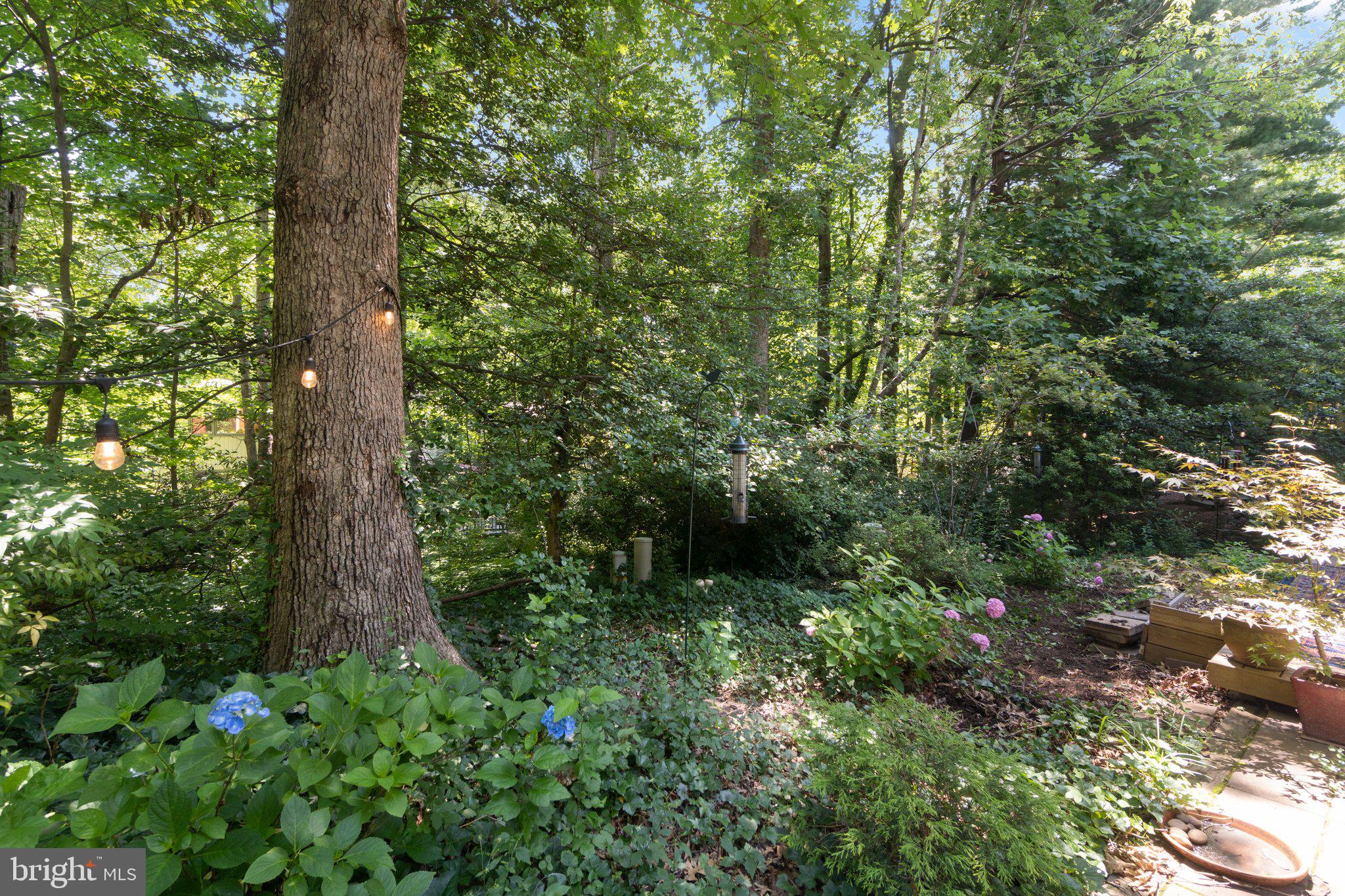 RESTON - Residential Lease