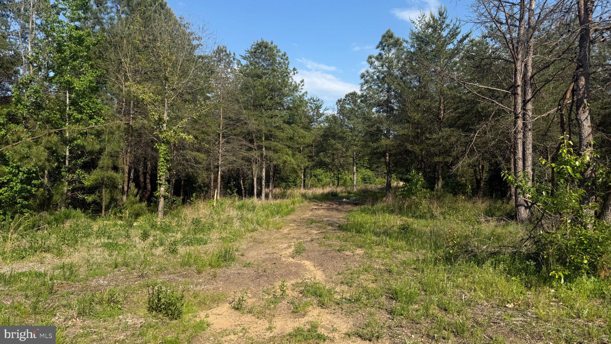 1377 MEYERS STATION ROAD