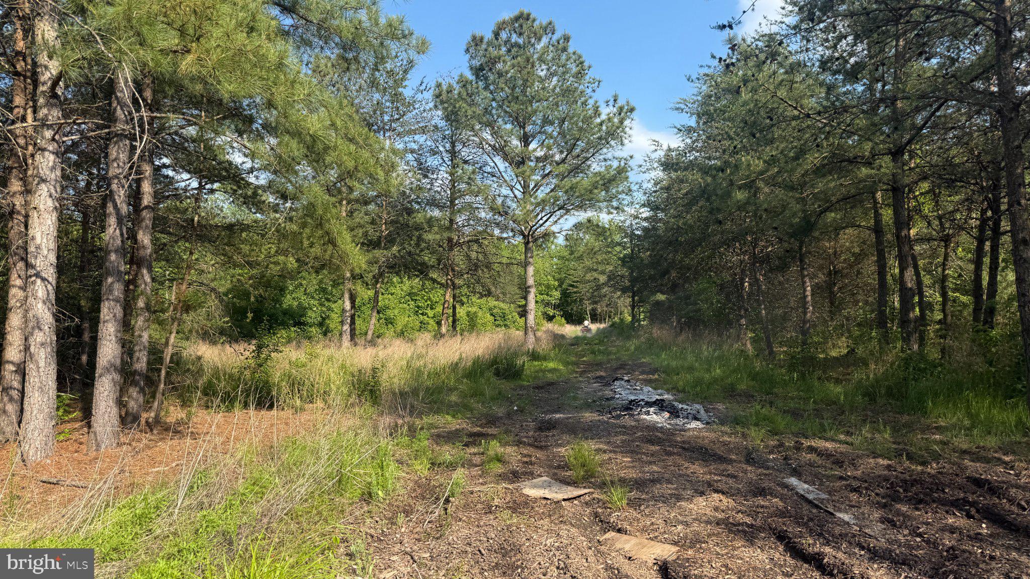 1377 MEYERS STATION ROAD