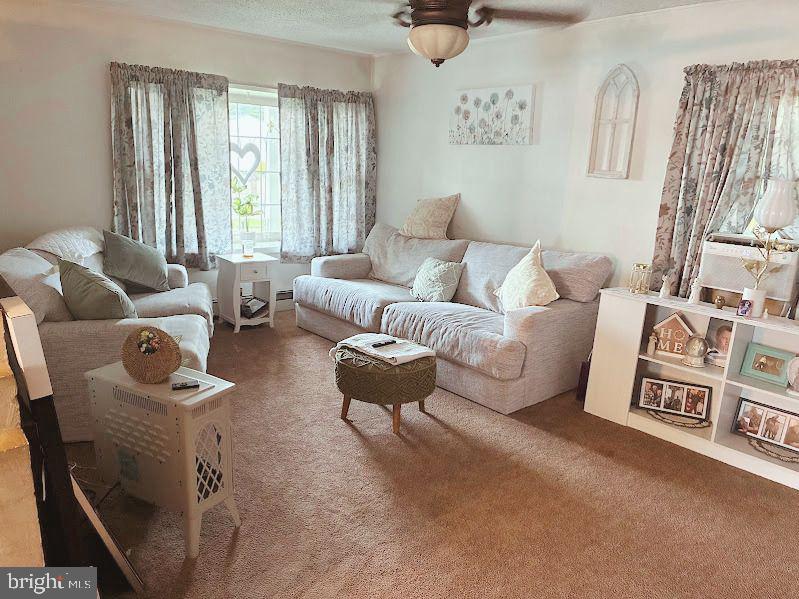 DOGWOOD HOLLOW - Residential