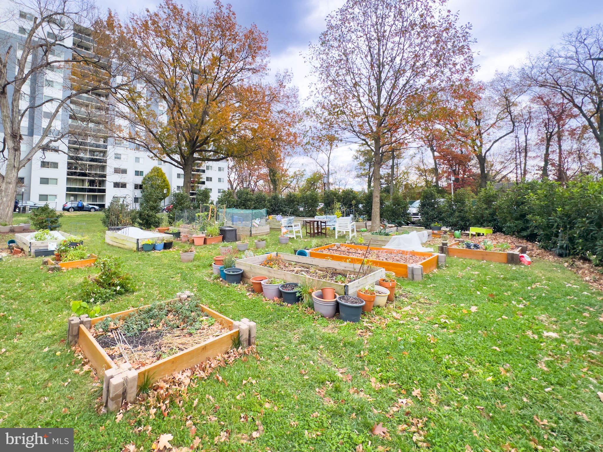 TAKOMA PARK - Residential Lease