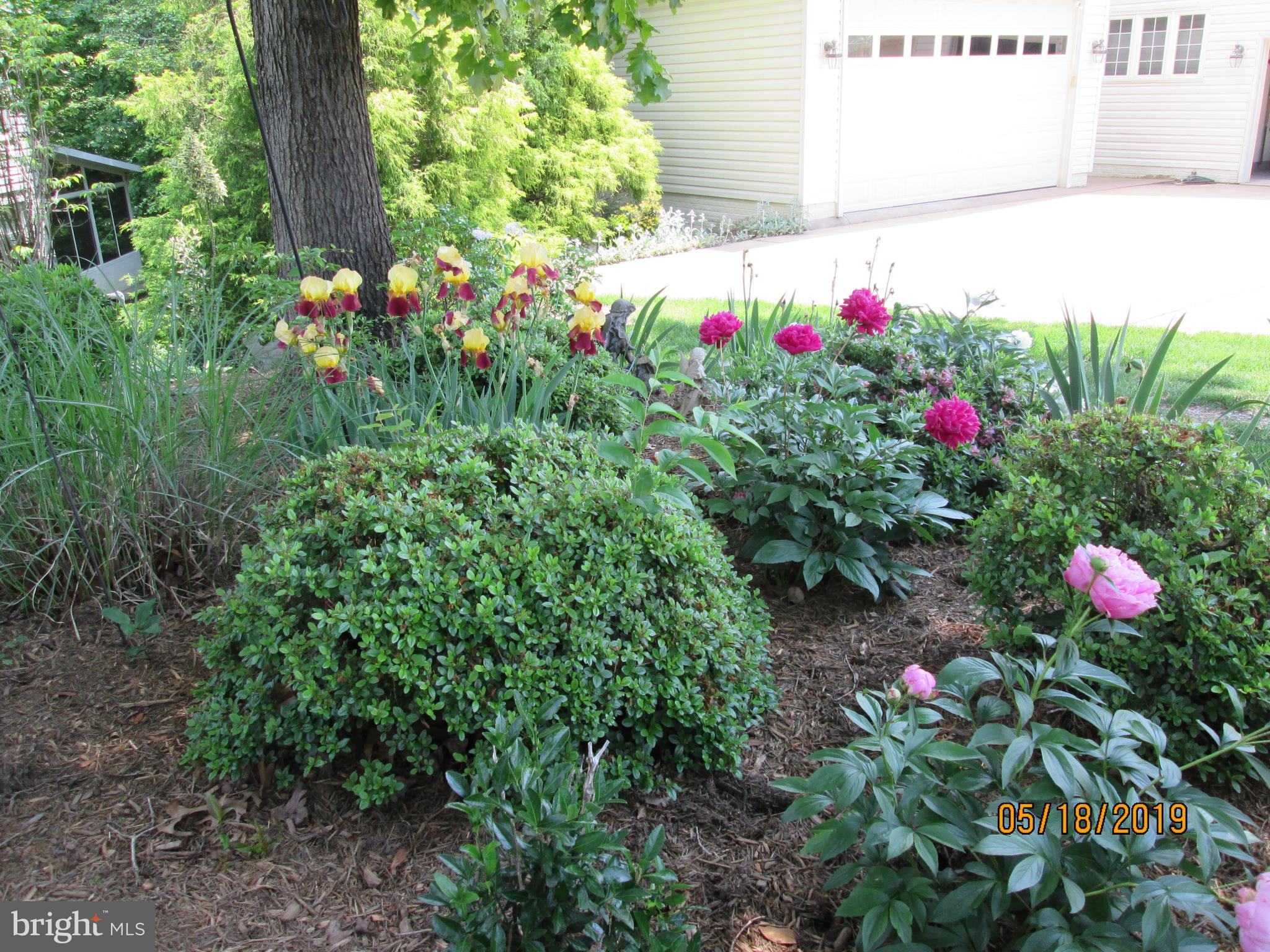 DEER VALLEY - Residential