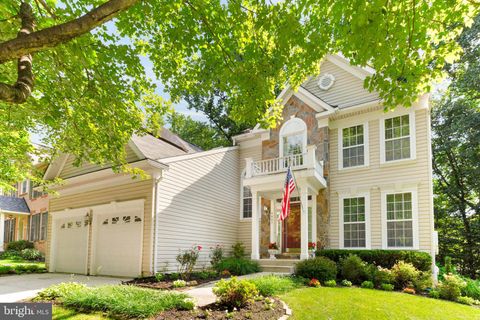 8007 BIG POOL ROAD LAUREL MD 20724