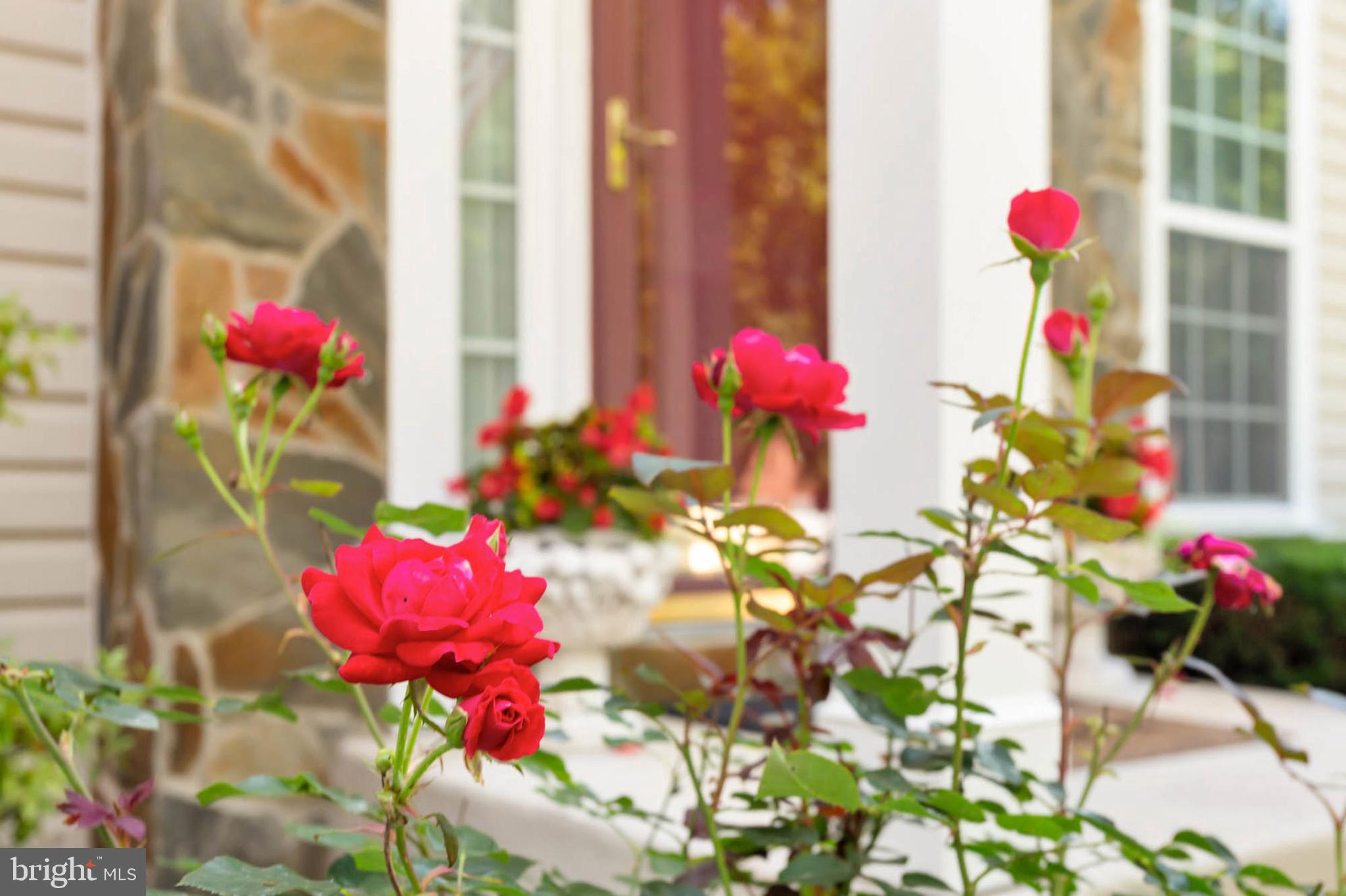 RUSSETT - Residential