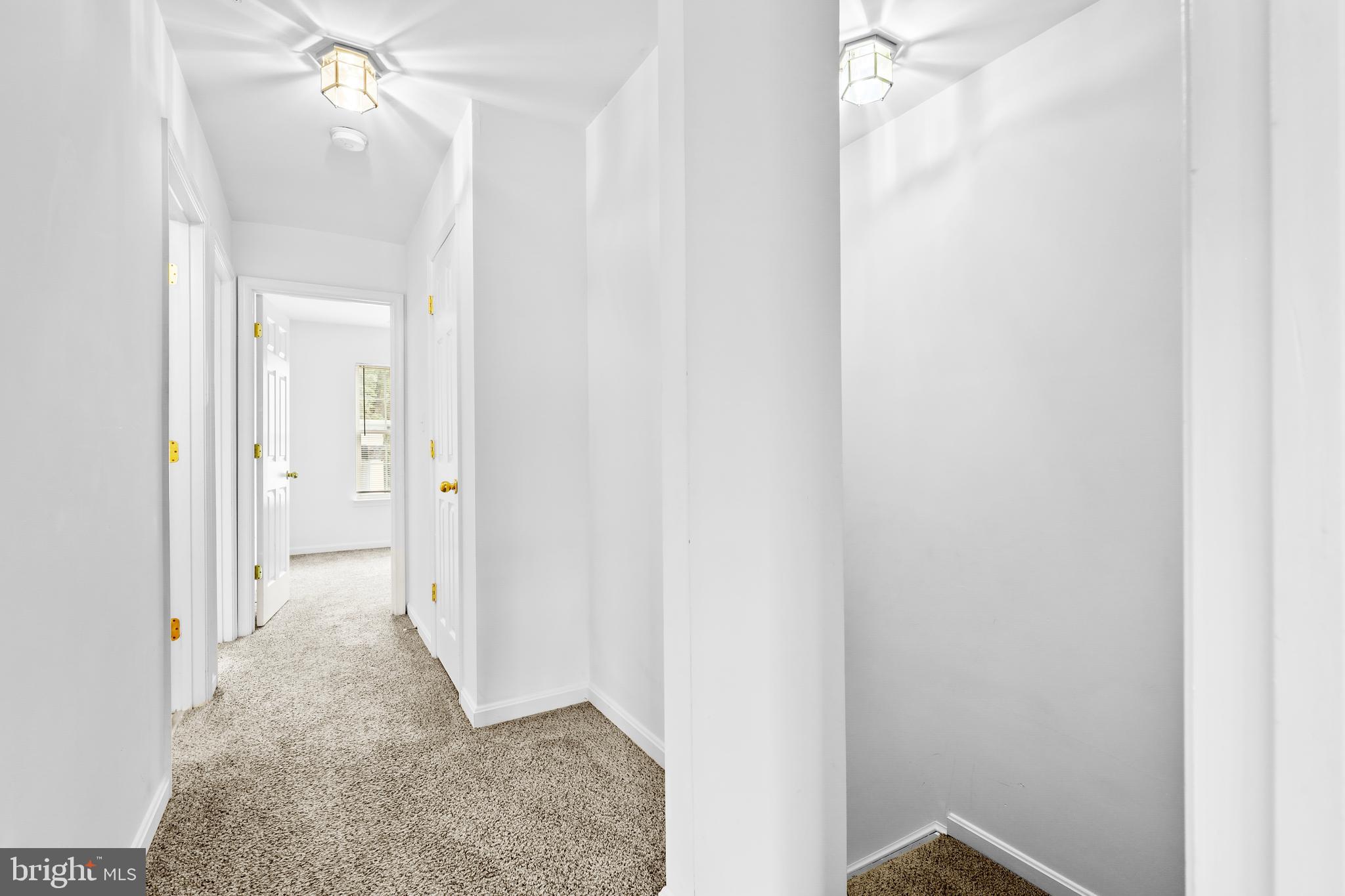 BELVEDERE SQUARE - Commercial Sale