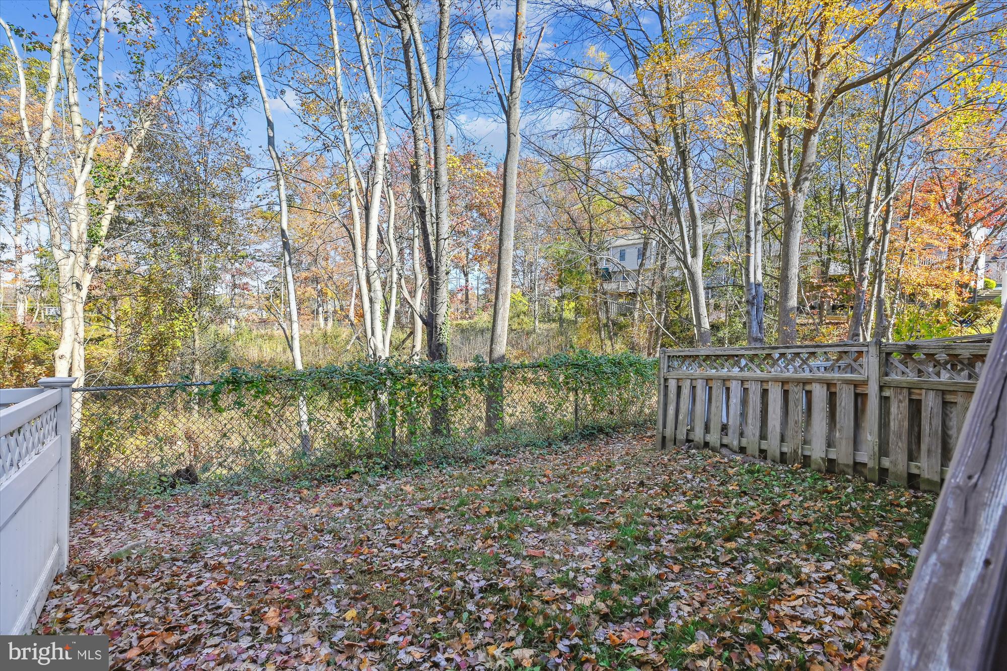 VILLAGE OF SILVER HALL - Residential