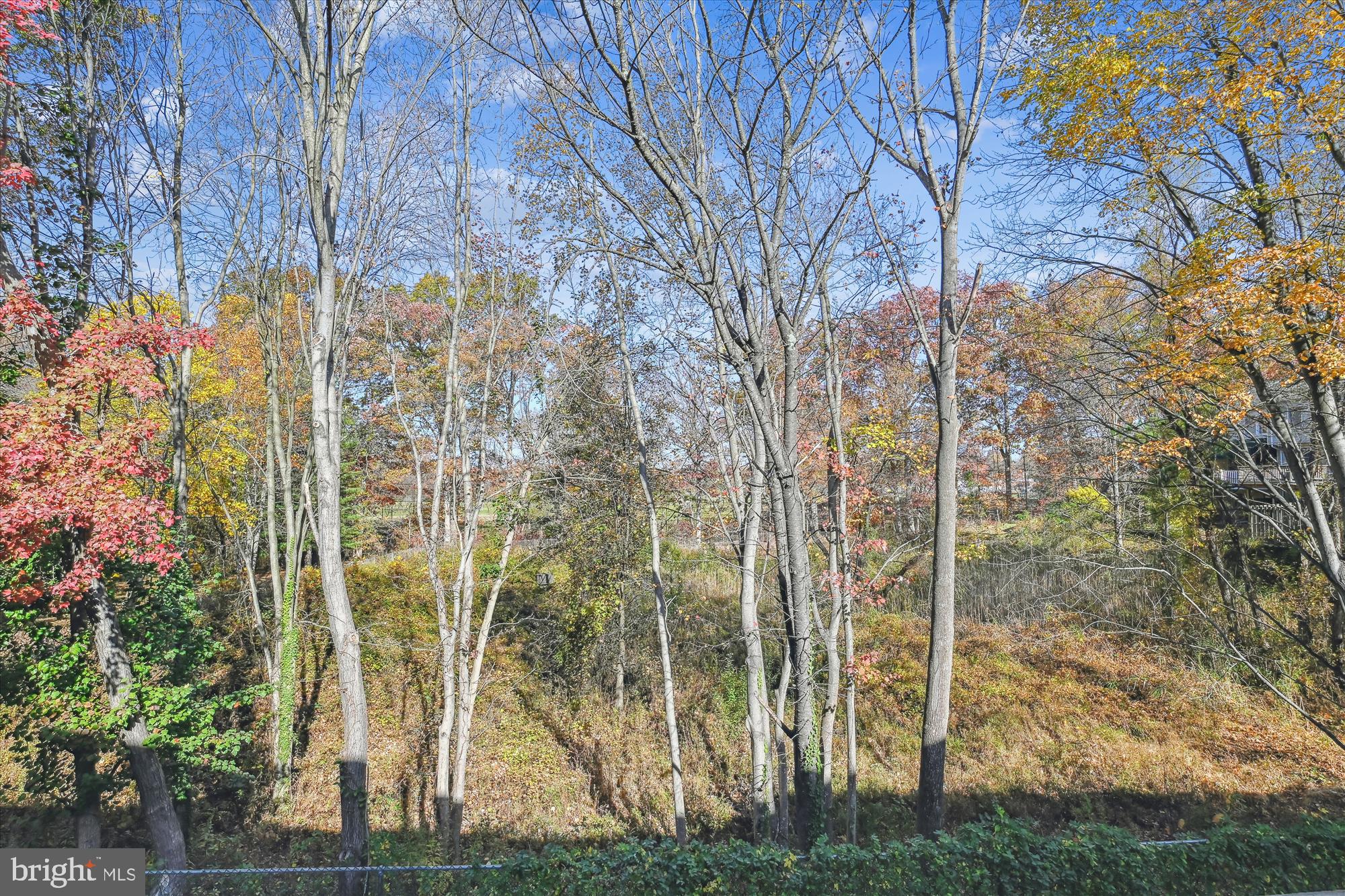 VILLAGE OF SILVER HALL - Residential