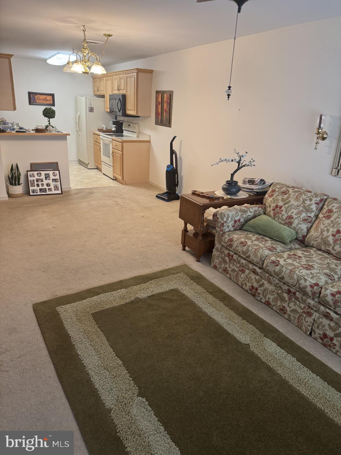 MALLARD LANDING - Residential