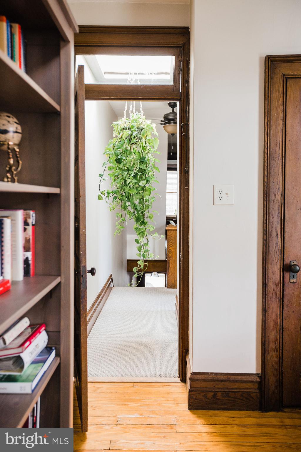 CHESTNUT HILL - Residential