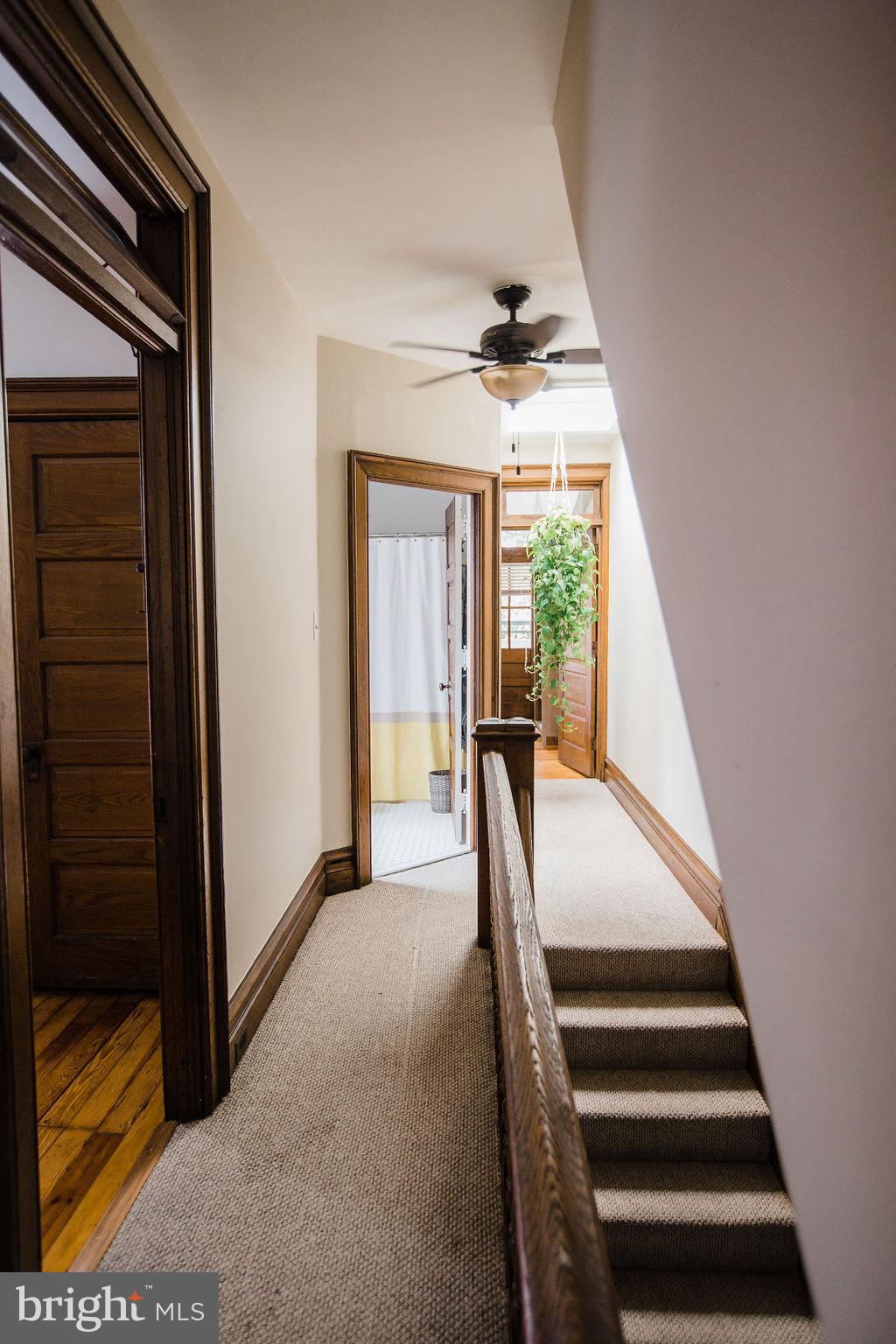 CHESTNUT HILL - Residential