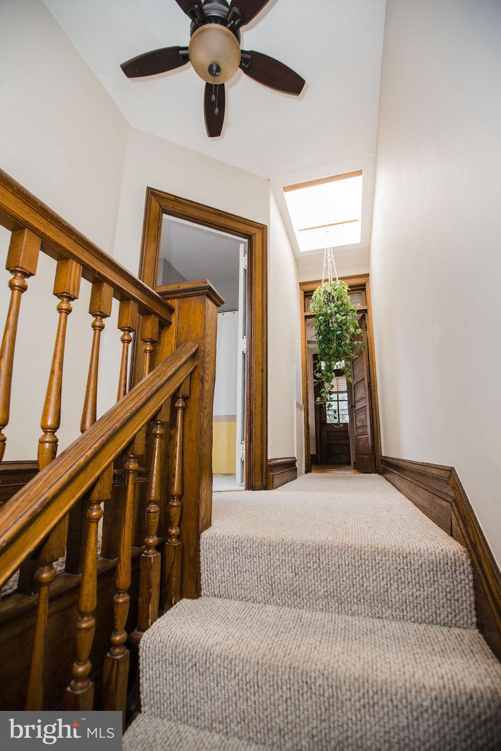 CHESTNUT HILL - Residential