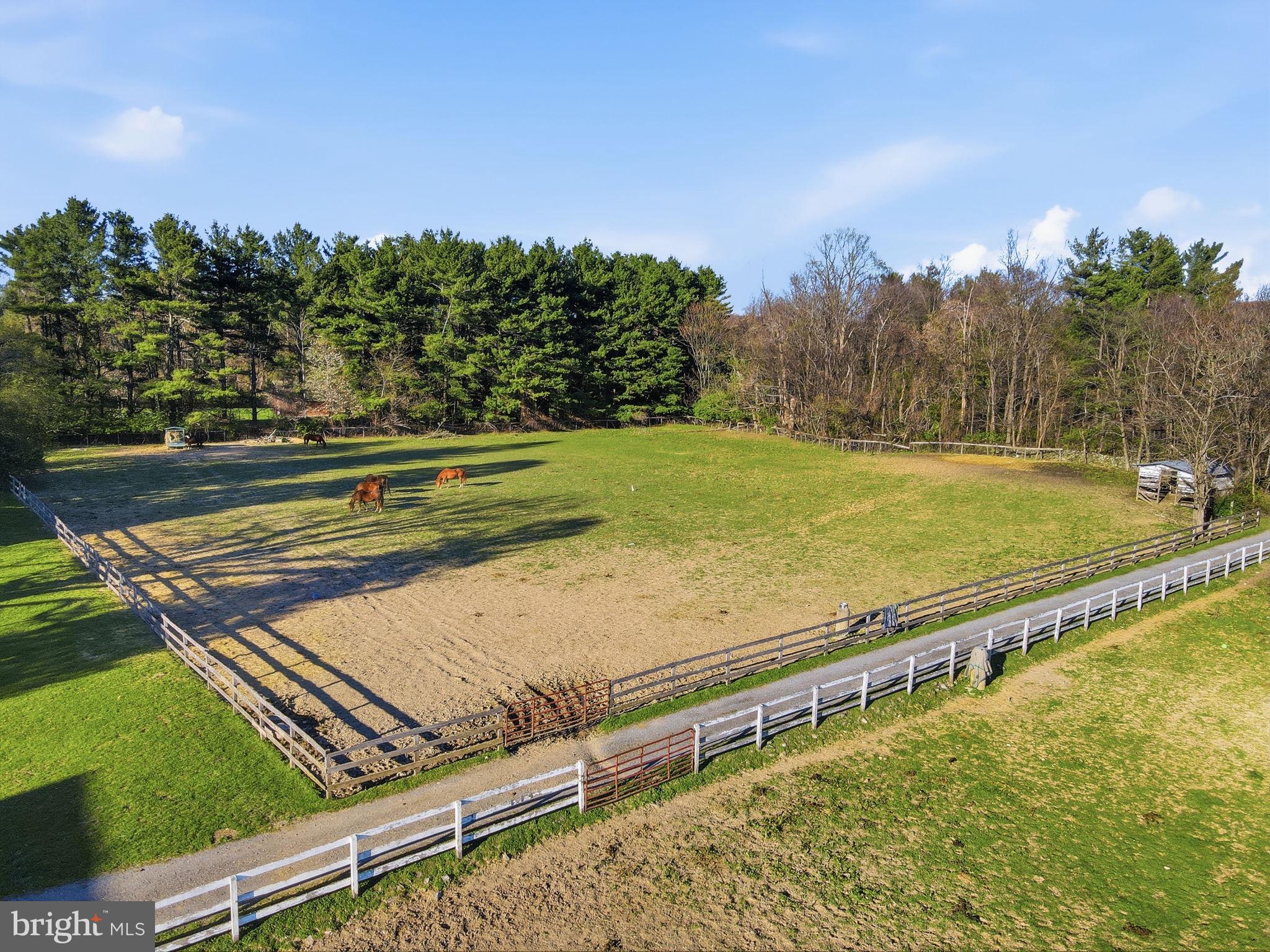 NONE AVAILABLE - Farm