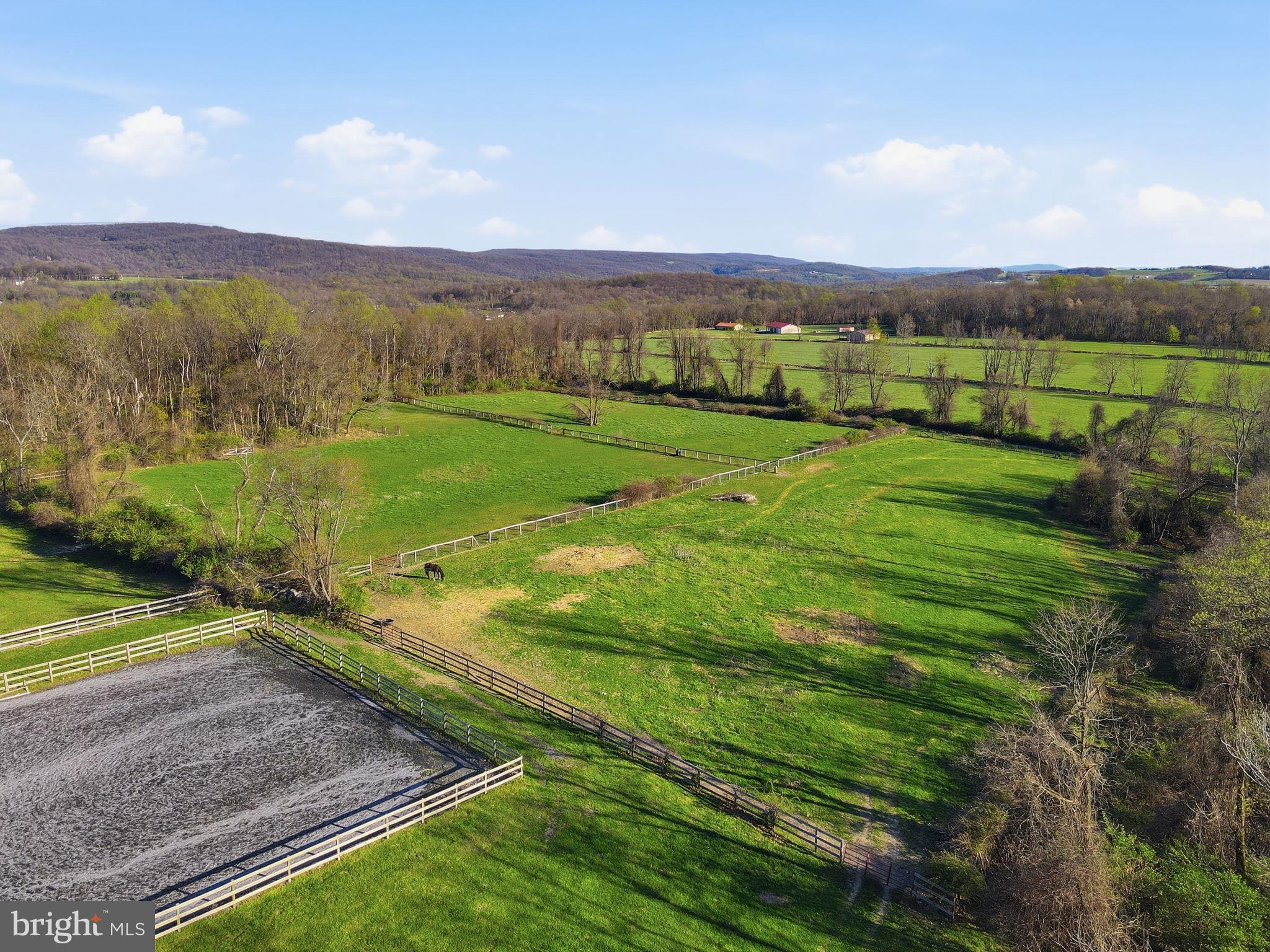 NONE AVAILABLE - Farm