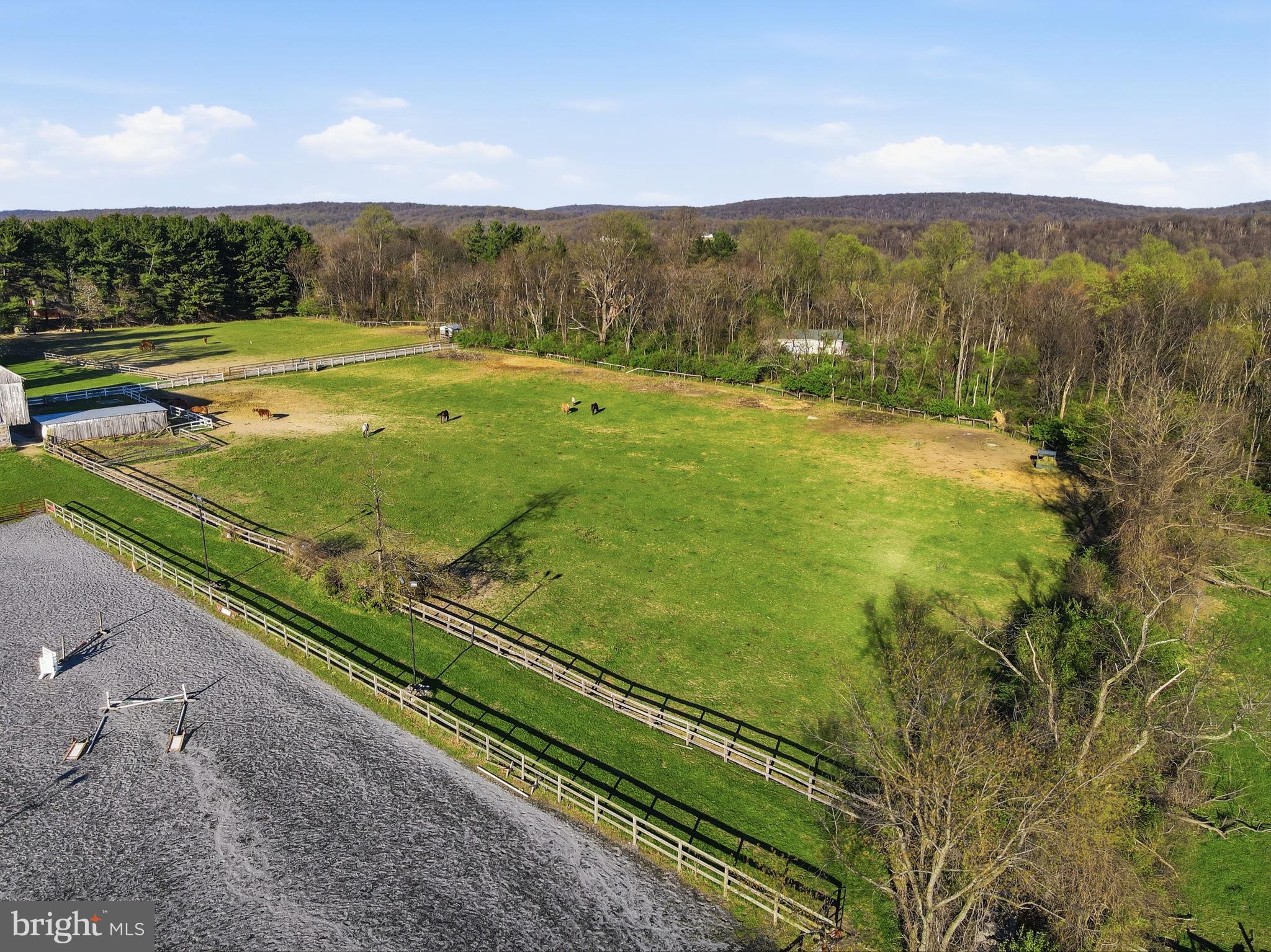 NONE AVAILABLE - Farm