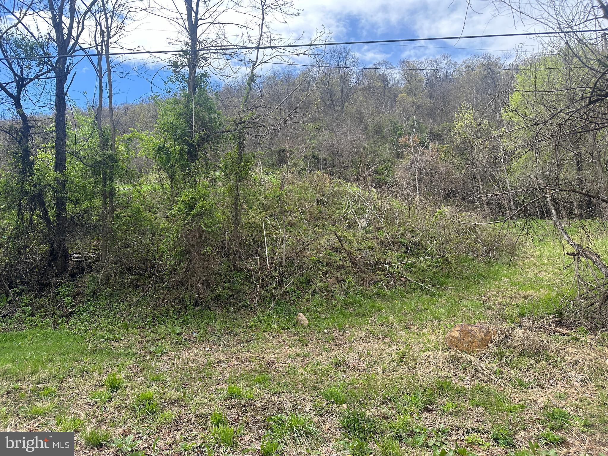 Derelict property! DO NOT ENTER the structure, not safe. Property being sold as is where is. Sellers make no warranties and has never lived in or on the premises. Health dept shows well and septic on the property. Sellers make no warranty to their function or existence.