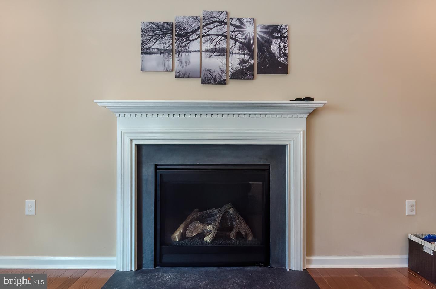 BROOKFIELD ON THE POTOMAC - Residential