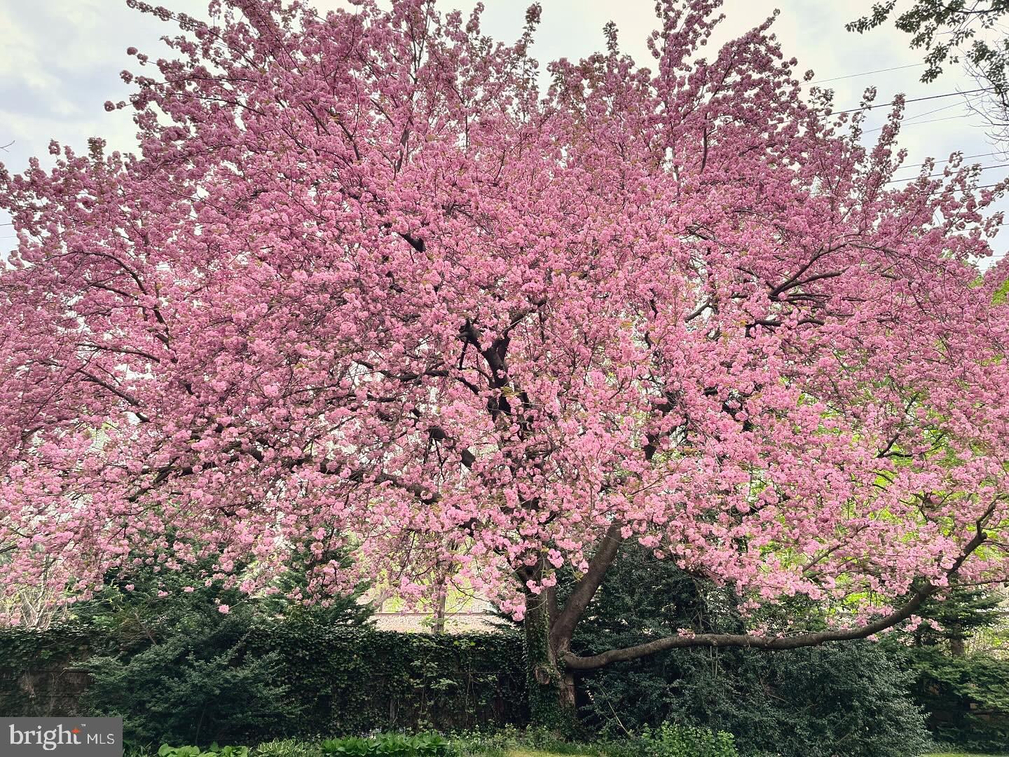 MT AIRY (WEST) - Residential