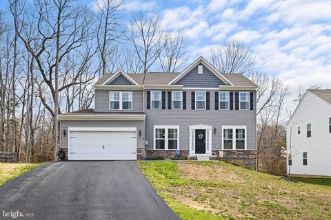 336 ELK NEST DRIVE NORTH EAST MD 21901