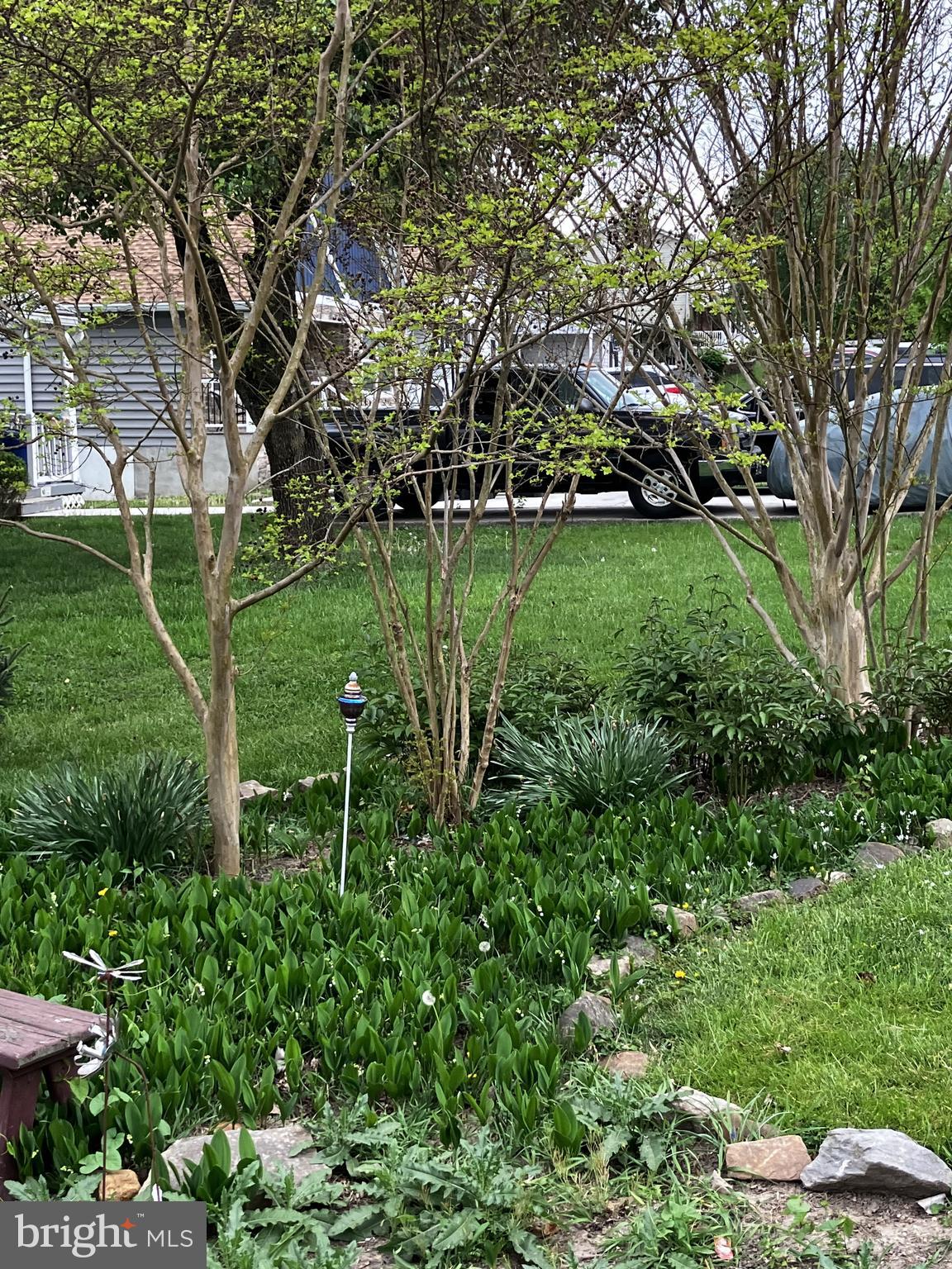 DOUGLAS PARK - Residential