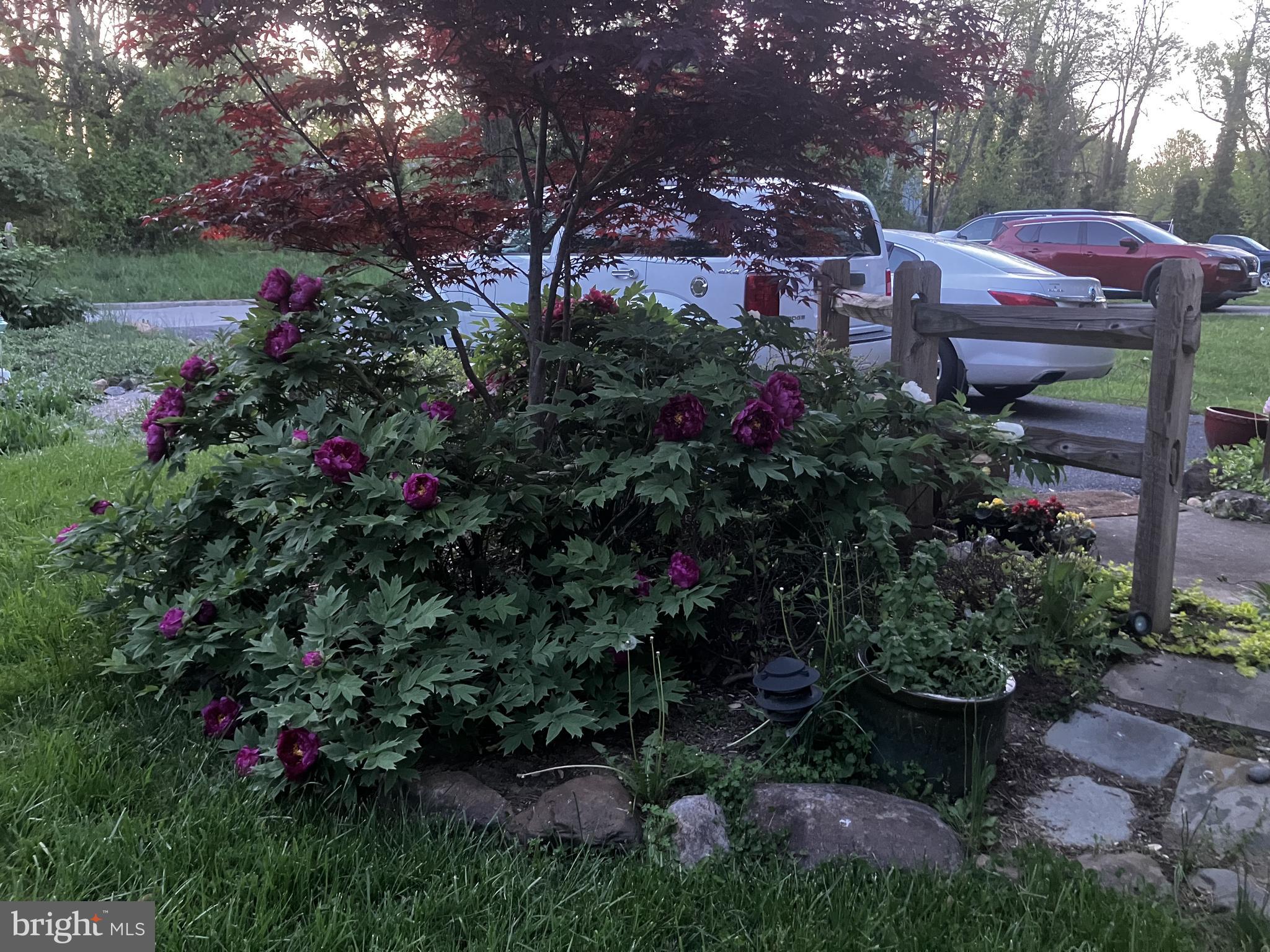 DOUGLAS PARK - Residential