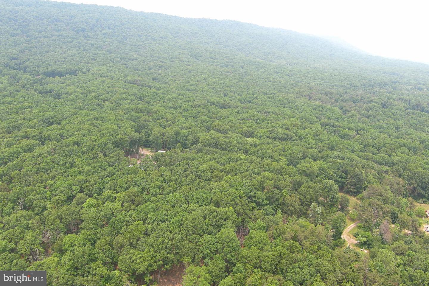 CABIN IN THE FOREST - Land