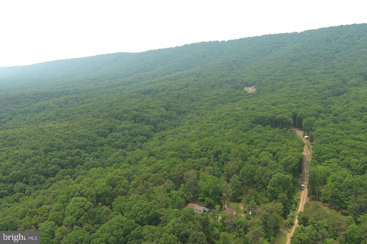 CABIN IN THE FOREST - Land